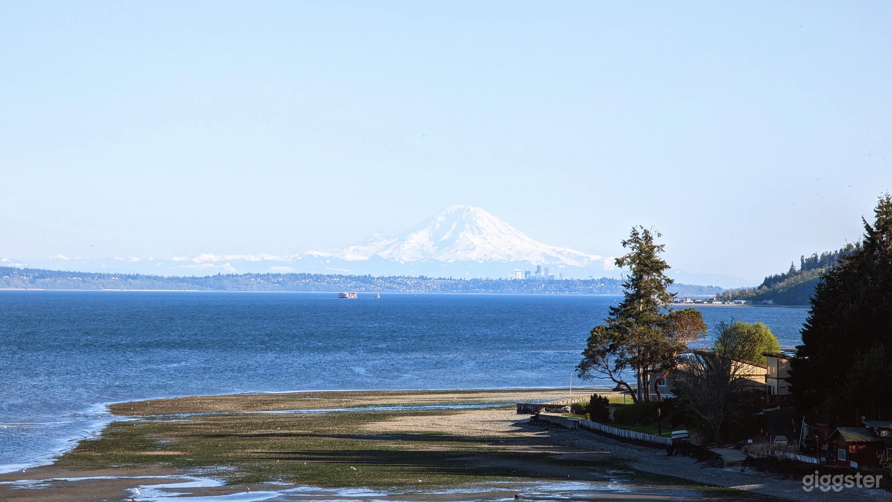 View of Mt. Rainier and downtown Seattle from the front yard, standing in front on the 4 fir trees. We have a 180 degree view of the Cascade Mountain range.
