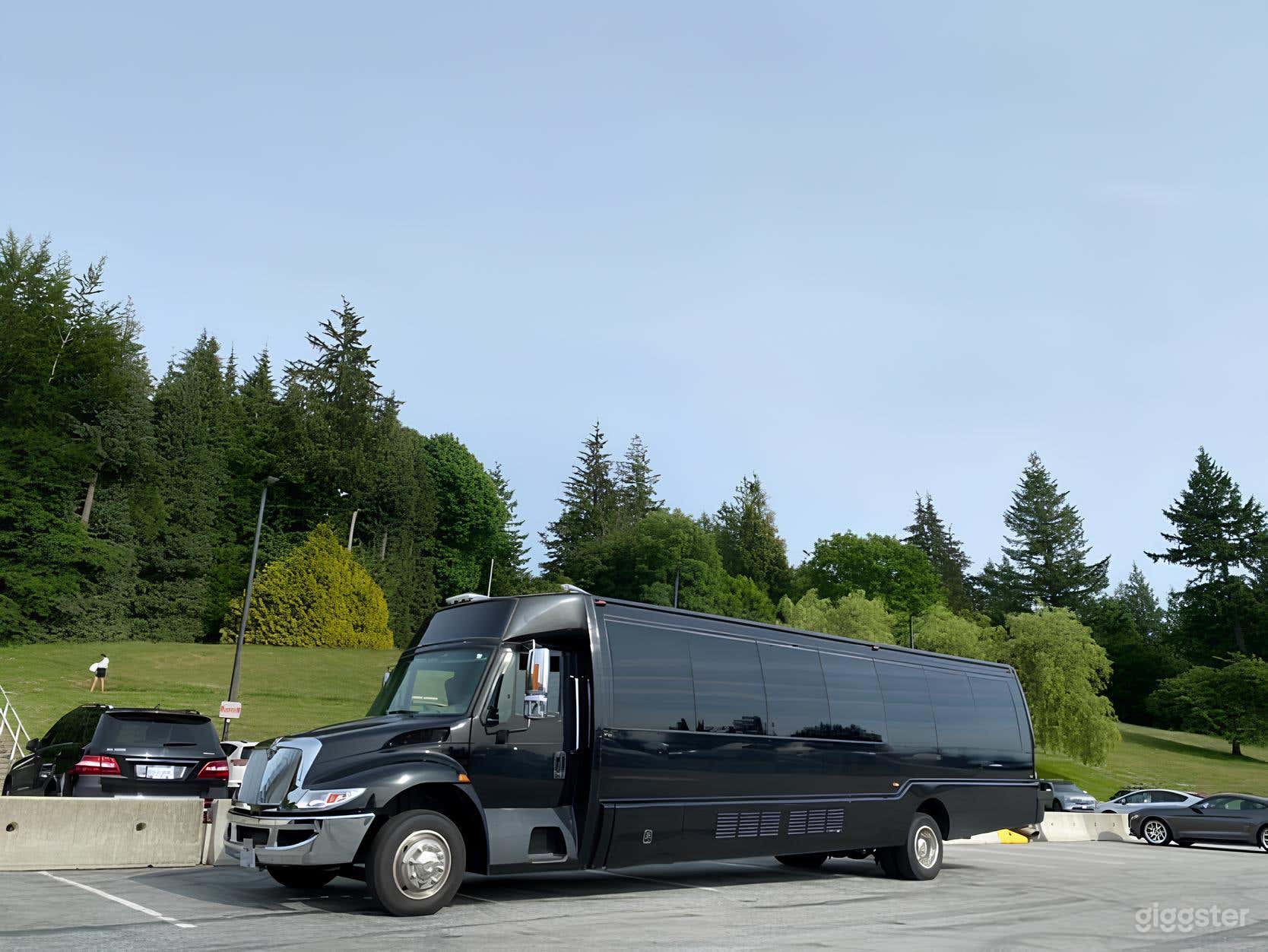 International Limo Party Bus 28 Photo 2