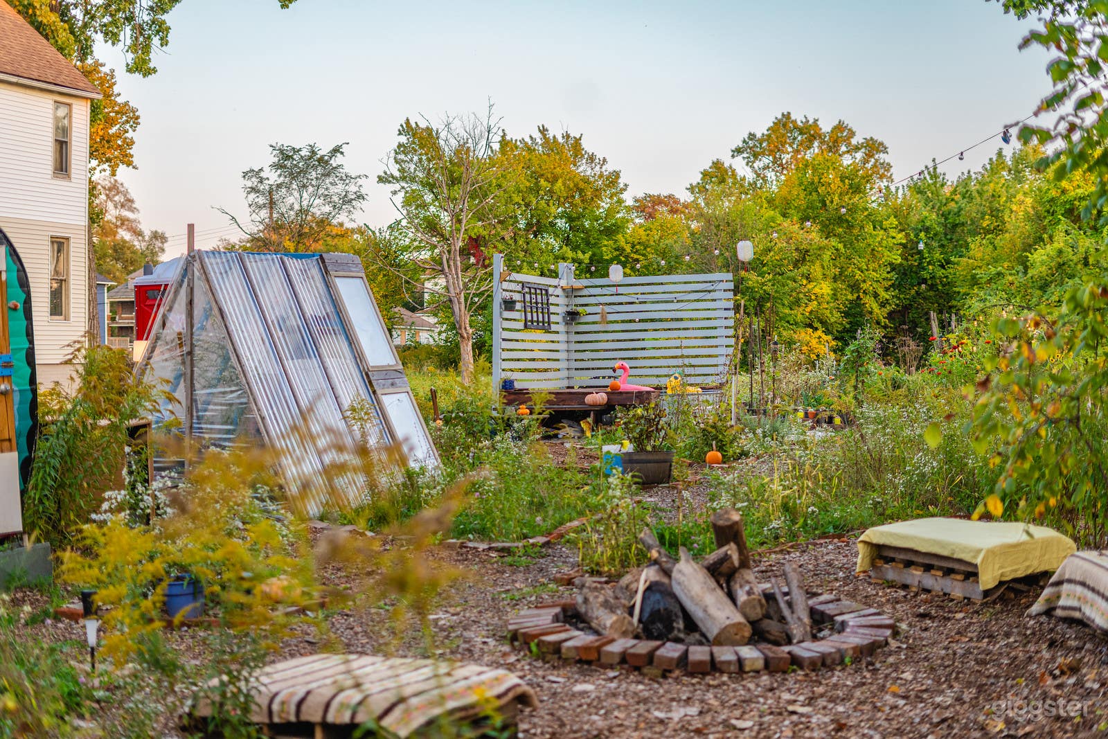 Urban Garden Oasis Photo 3