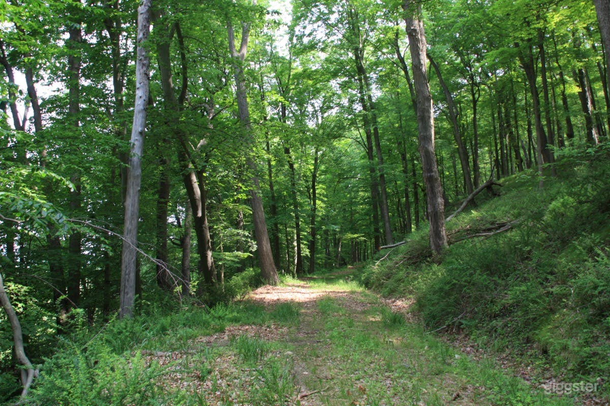 Spectacular 5,000 acre estate w/ fields &amp; stables! Photo 3