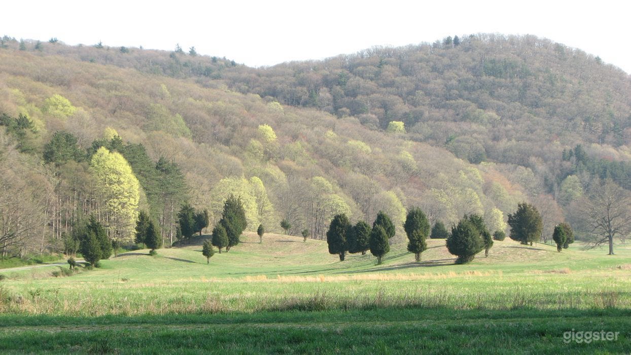 Spectacular 5,000 acre estate w/ fields &amp; stables! Photo 1