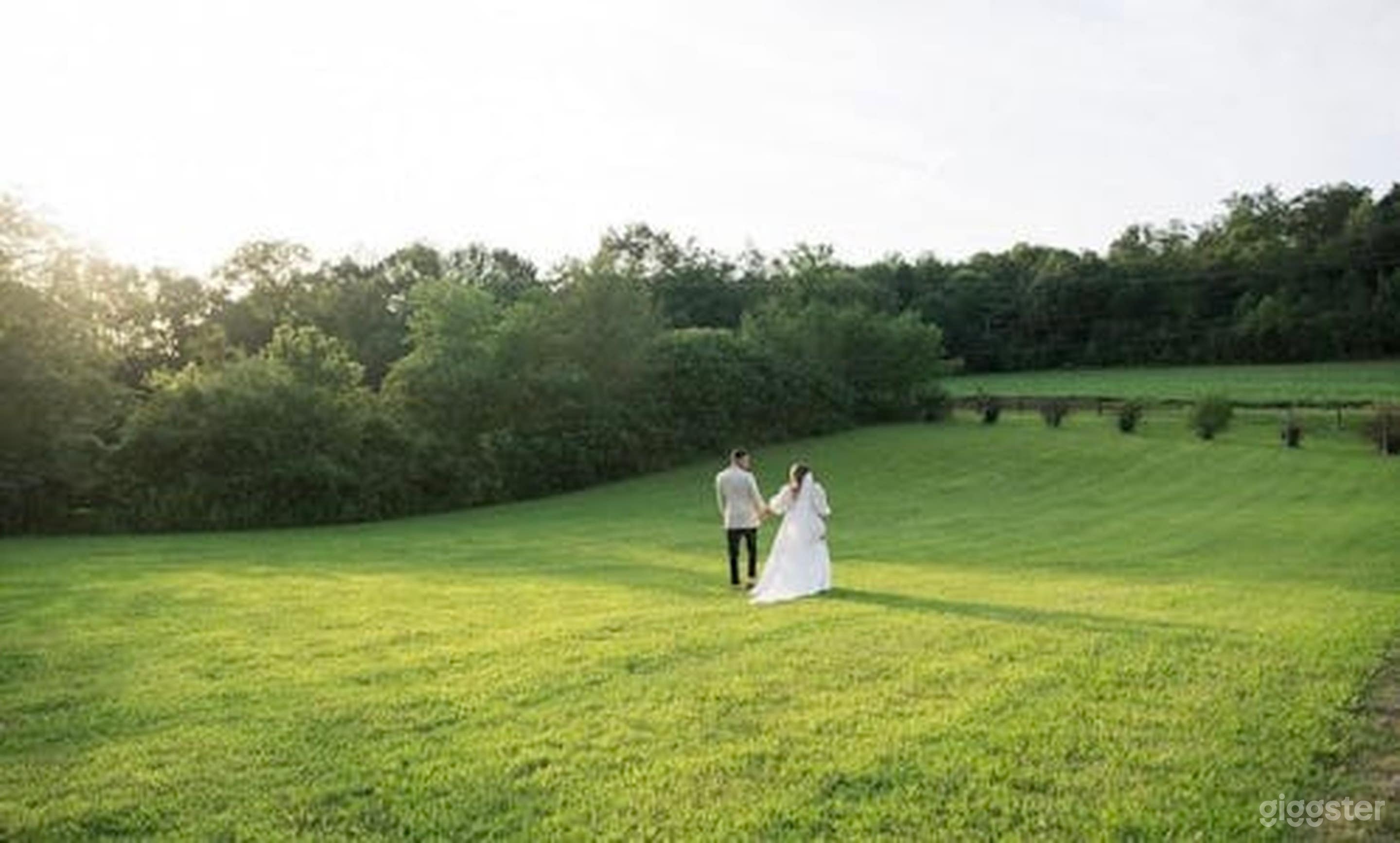 The Vineyard Photo 1