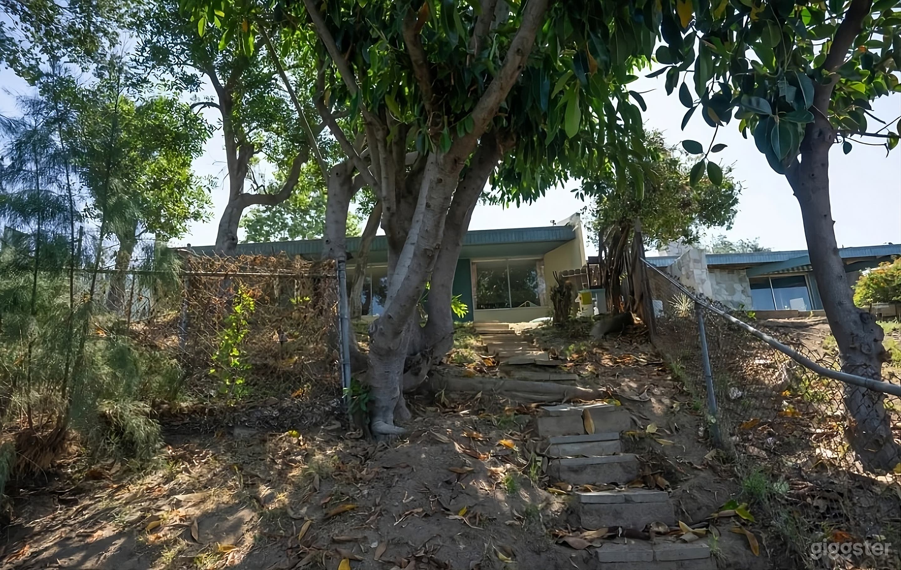 Wooded Backyard with Stunning Mountain Backdrop Photo 3