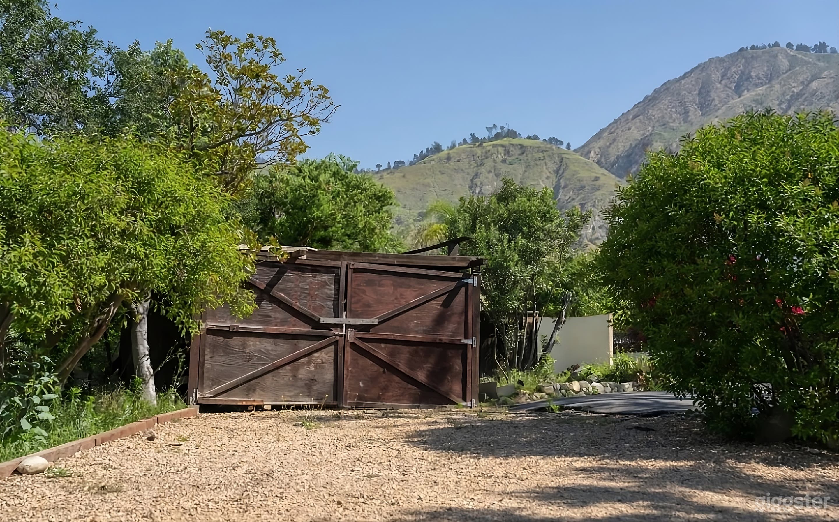 Wooded Backyard with Stunning Mountain Backdrop Photo 2