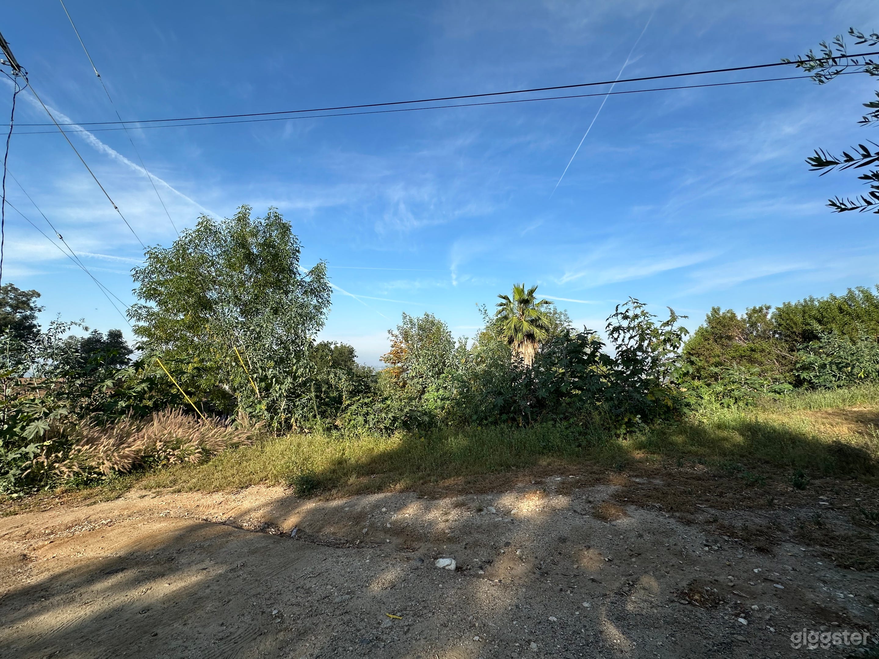Wooded lot with Stunning Mountain Backdrop Photo 4