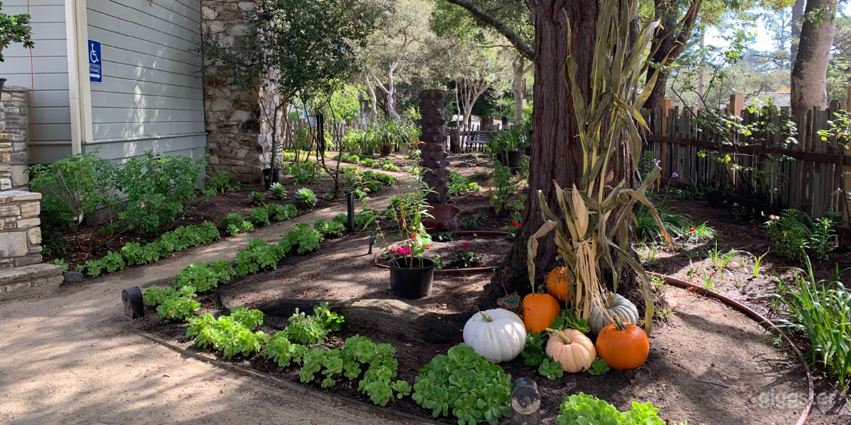 The Sculpture Garden &amp; Grounds Photo 3