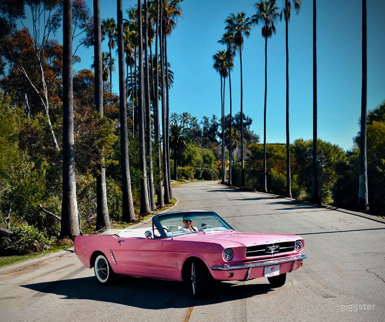  #76,169 Barbie Pink Mustang 1965 Classic Automatic 