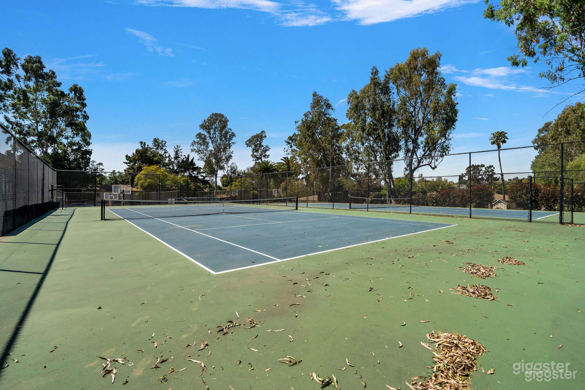THE ATHLETIC OASIS: TENNIS COURT Photo 2