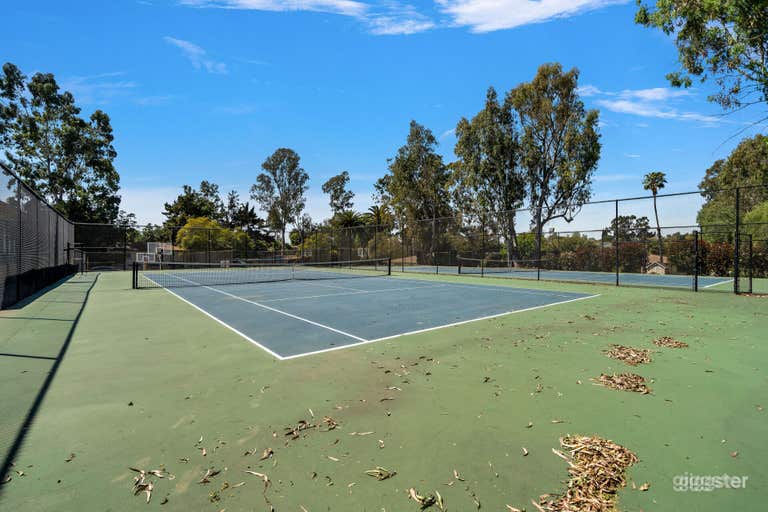  THE ATHLETIC OASIS: TENNIS COURT 