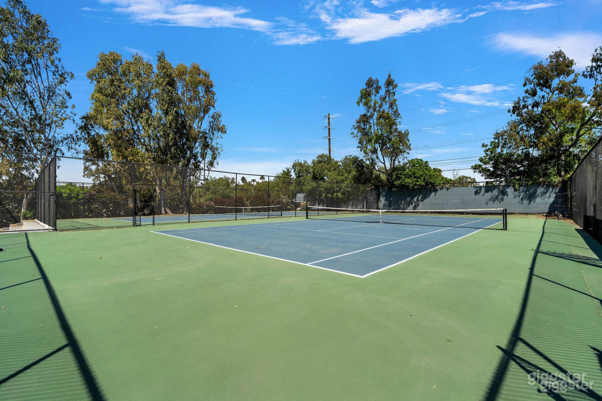 THE ATHLETIC OASIS: TENNIS COURT Photo 1