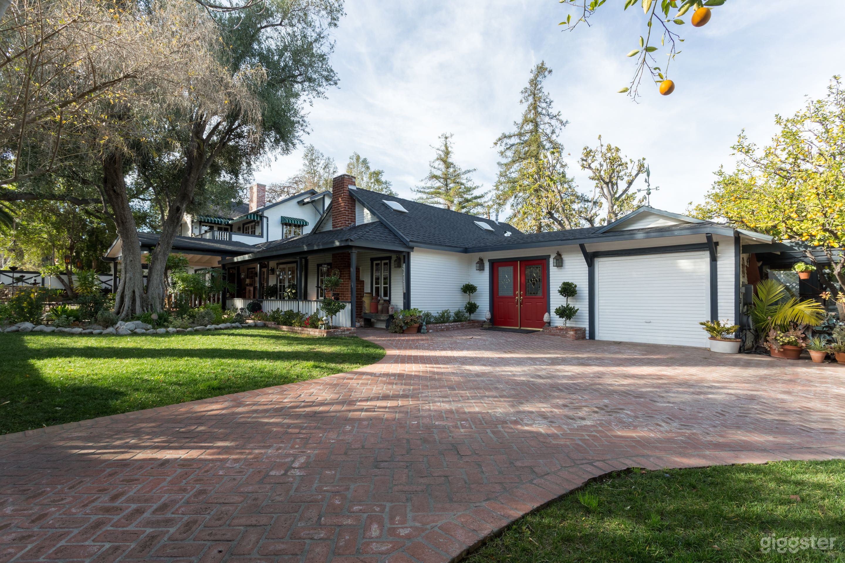 All American No.255 Photo 1