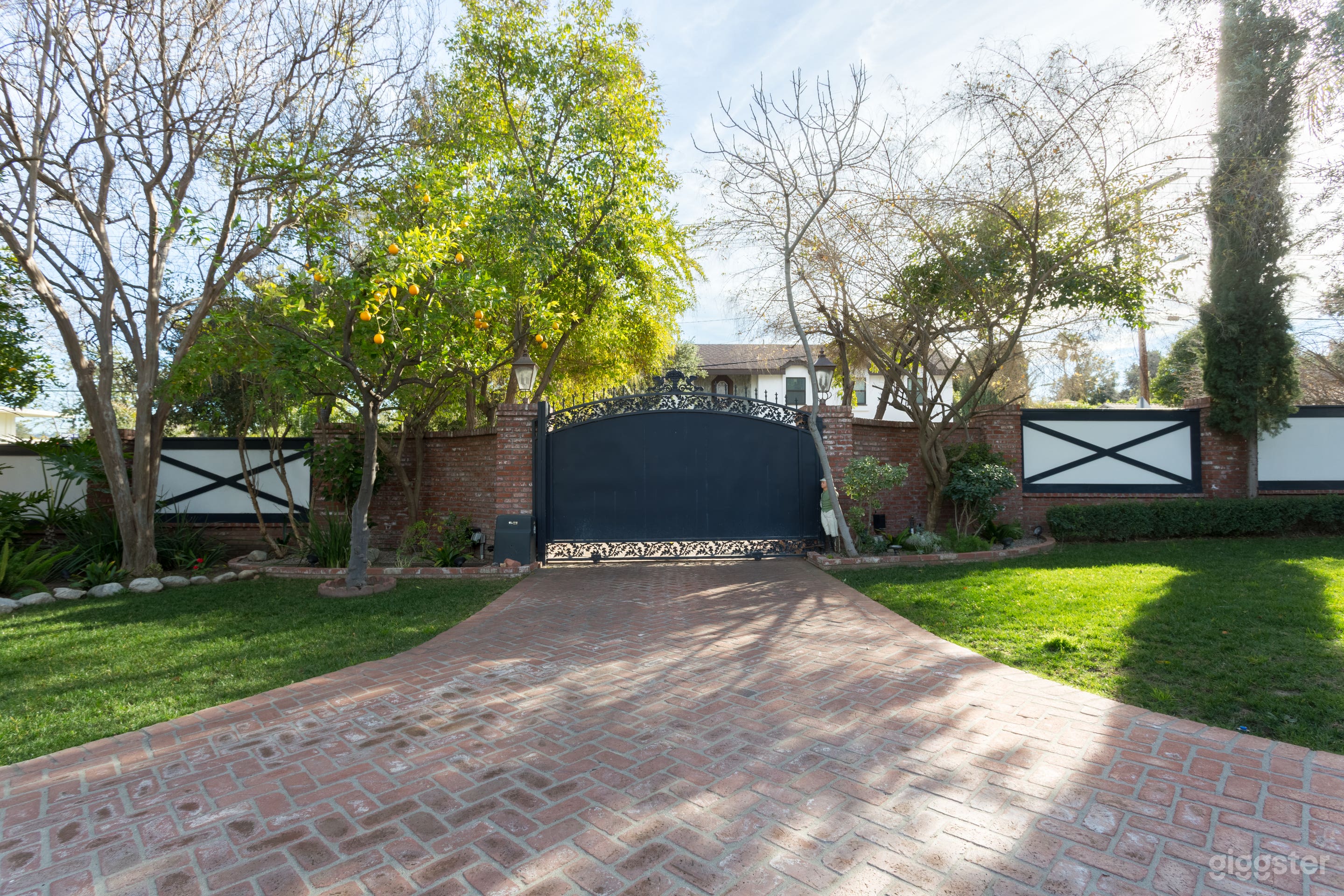 All American No.255 Photo 4