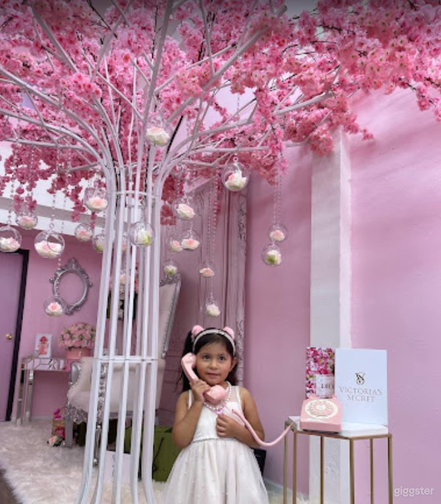 Luxurious Photo Studio At The Heart Of Los Angeles Photo 3