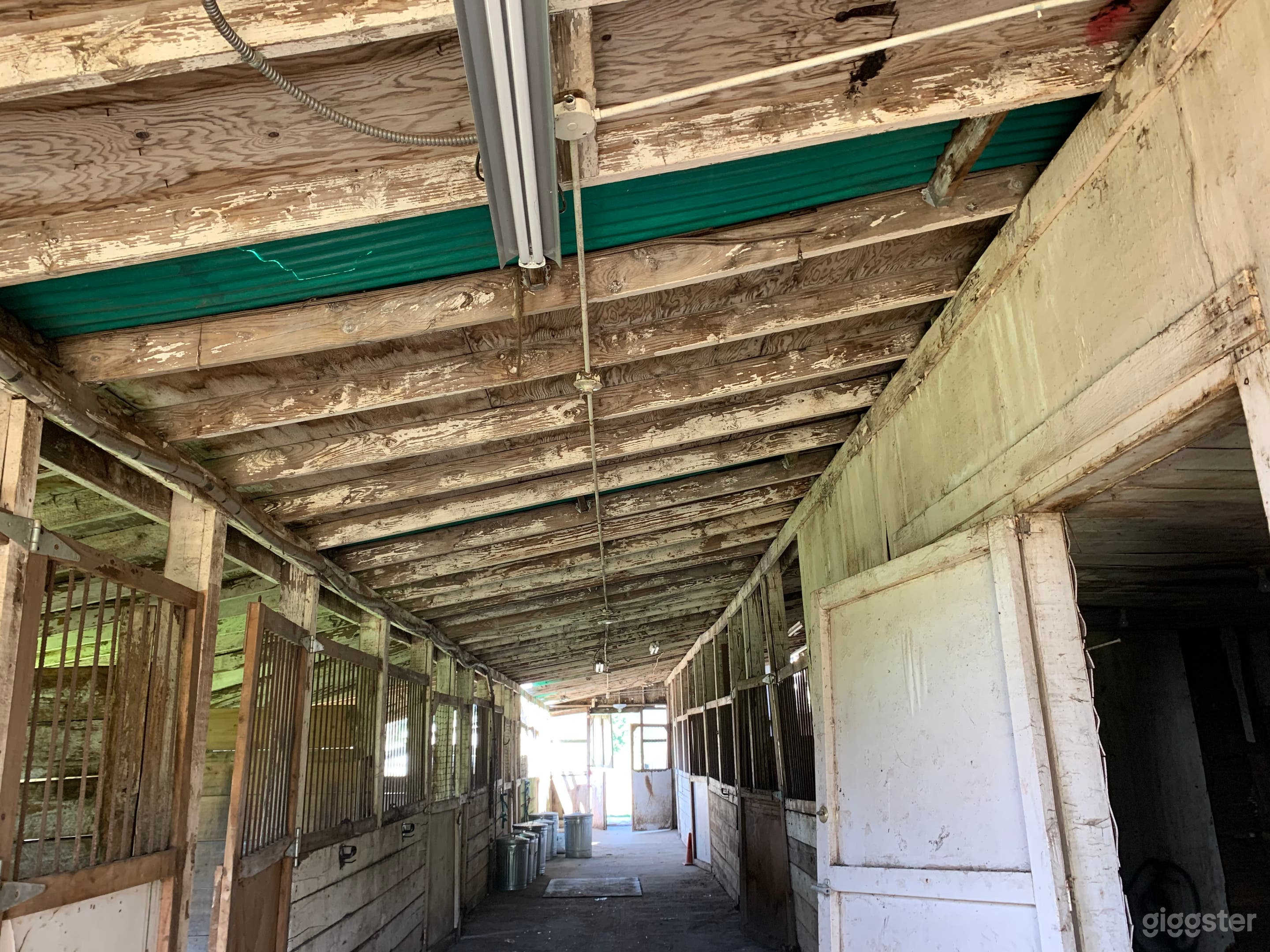 Historic 27 Stall Stables and Huge Indoor arena Photo 4