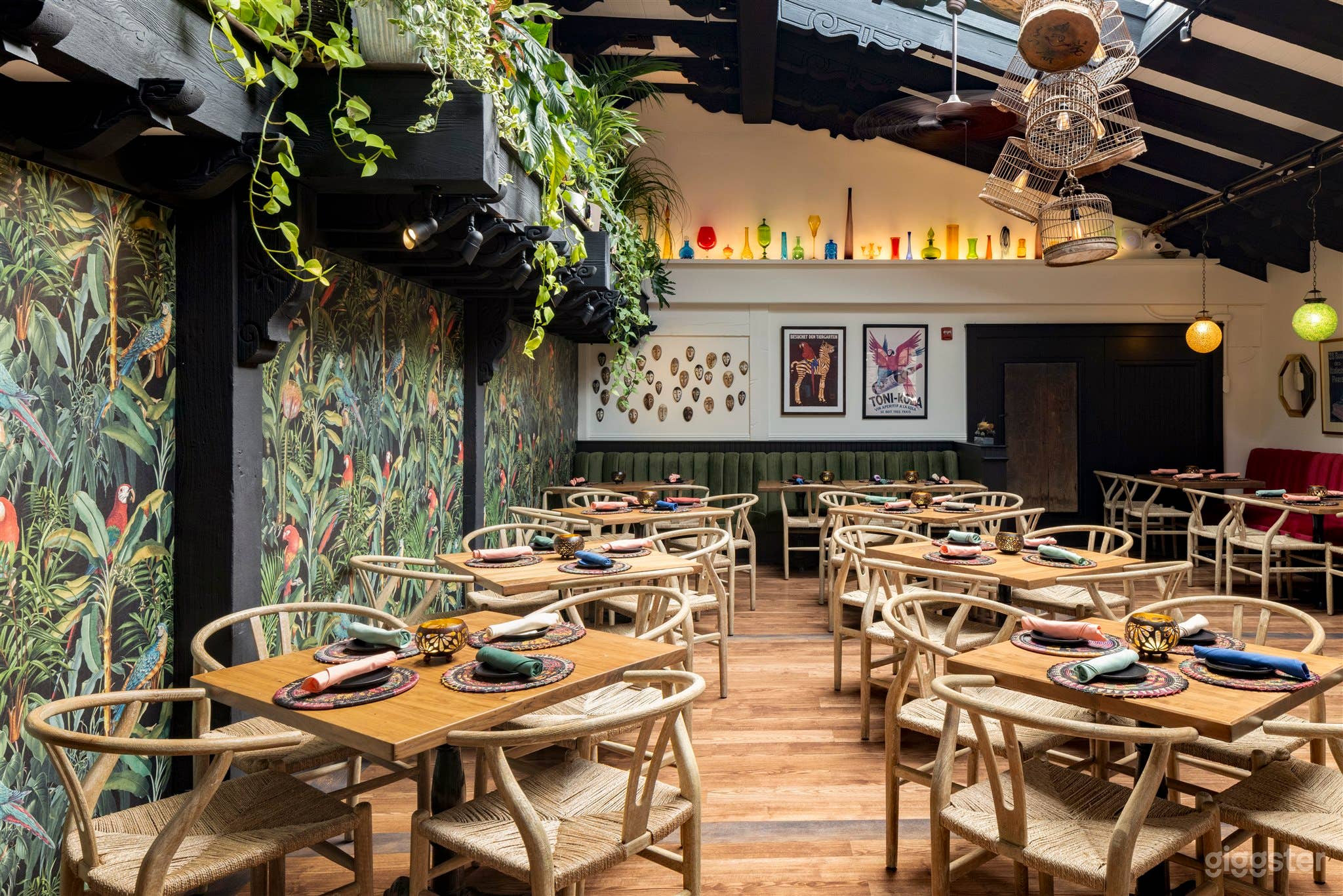 Vibrant Parrot Room Photo 2