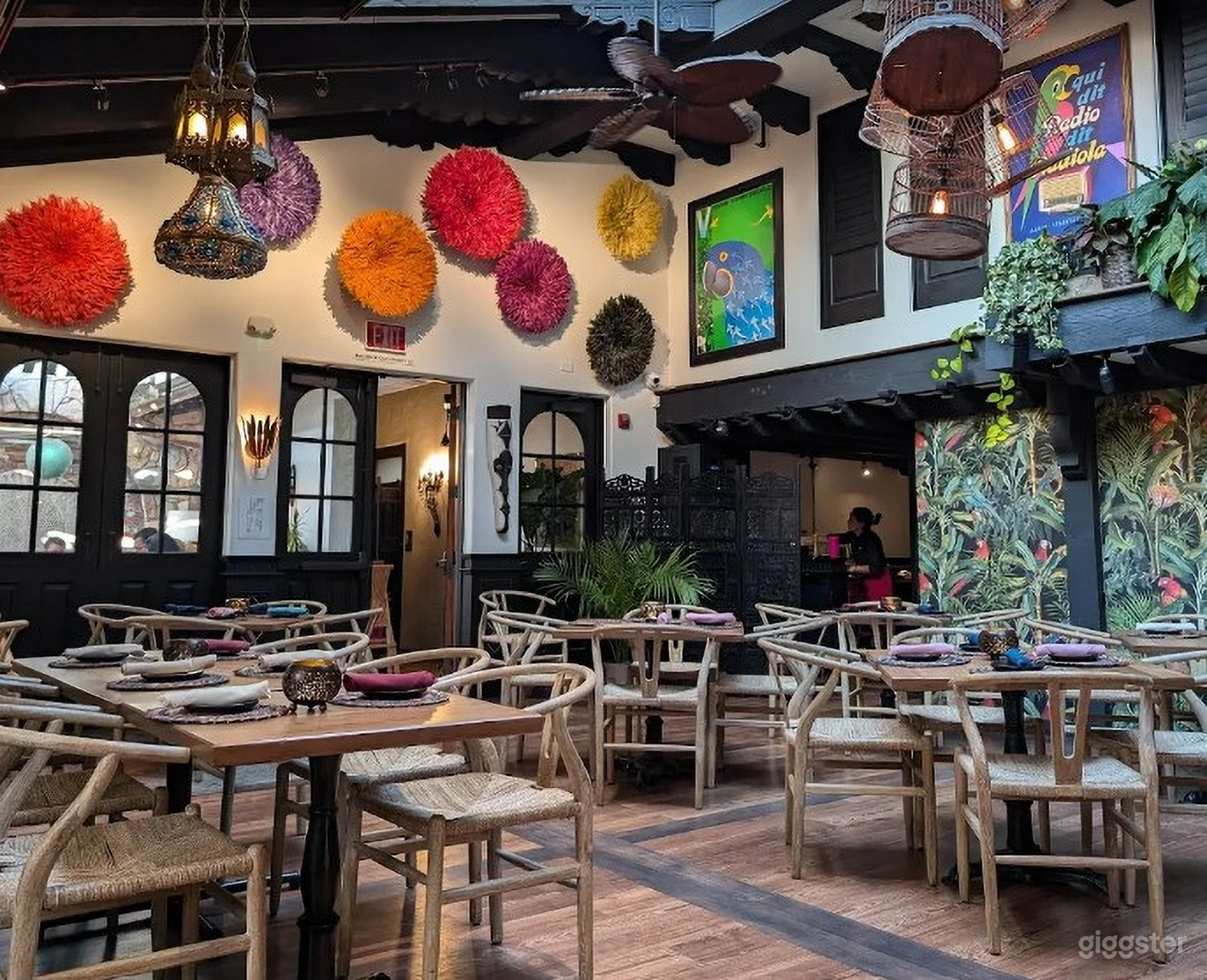 Vibrant Parrot Room Photo 3