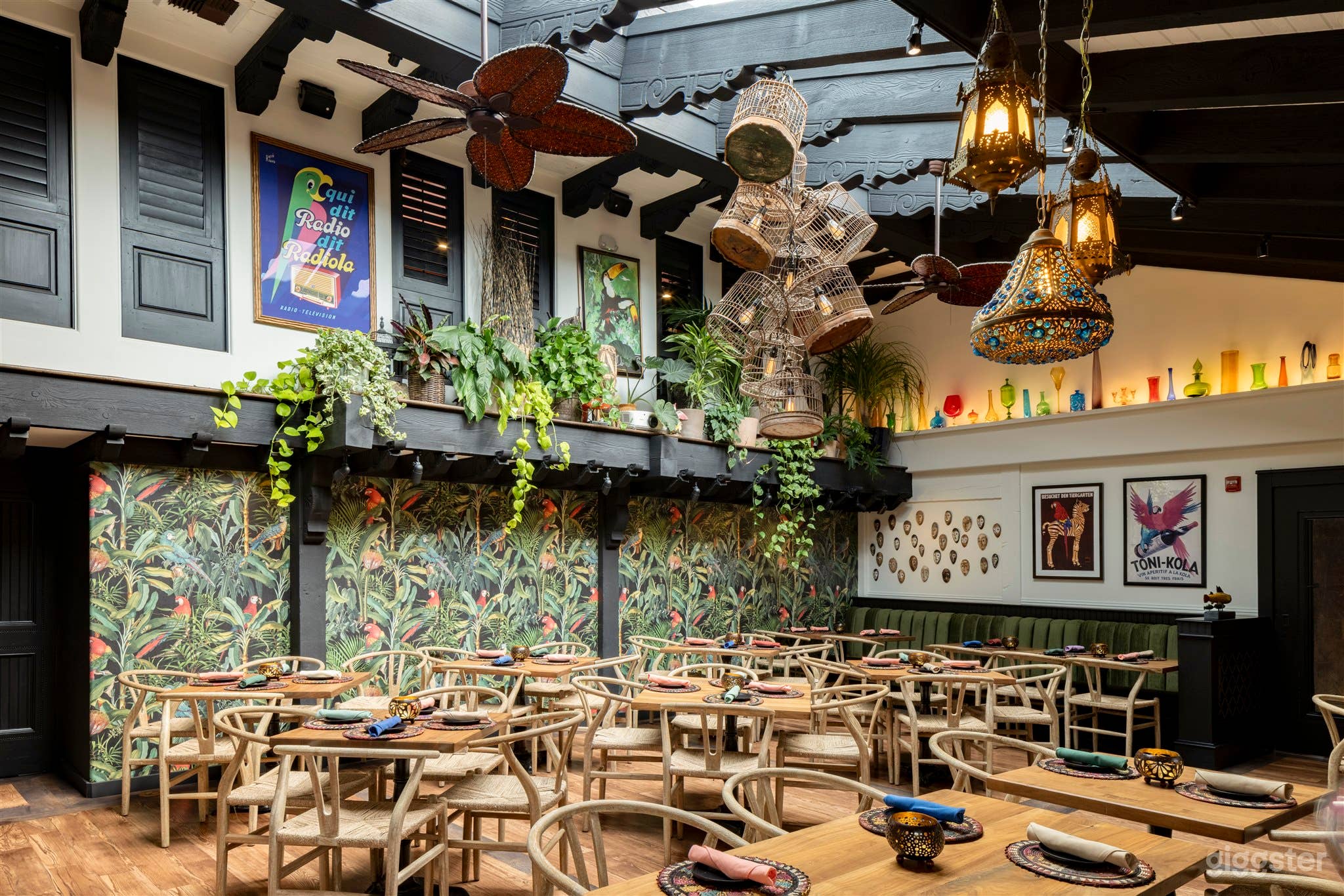 Vibrant Parrot Room Photo 1