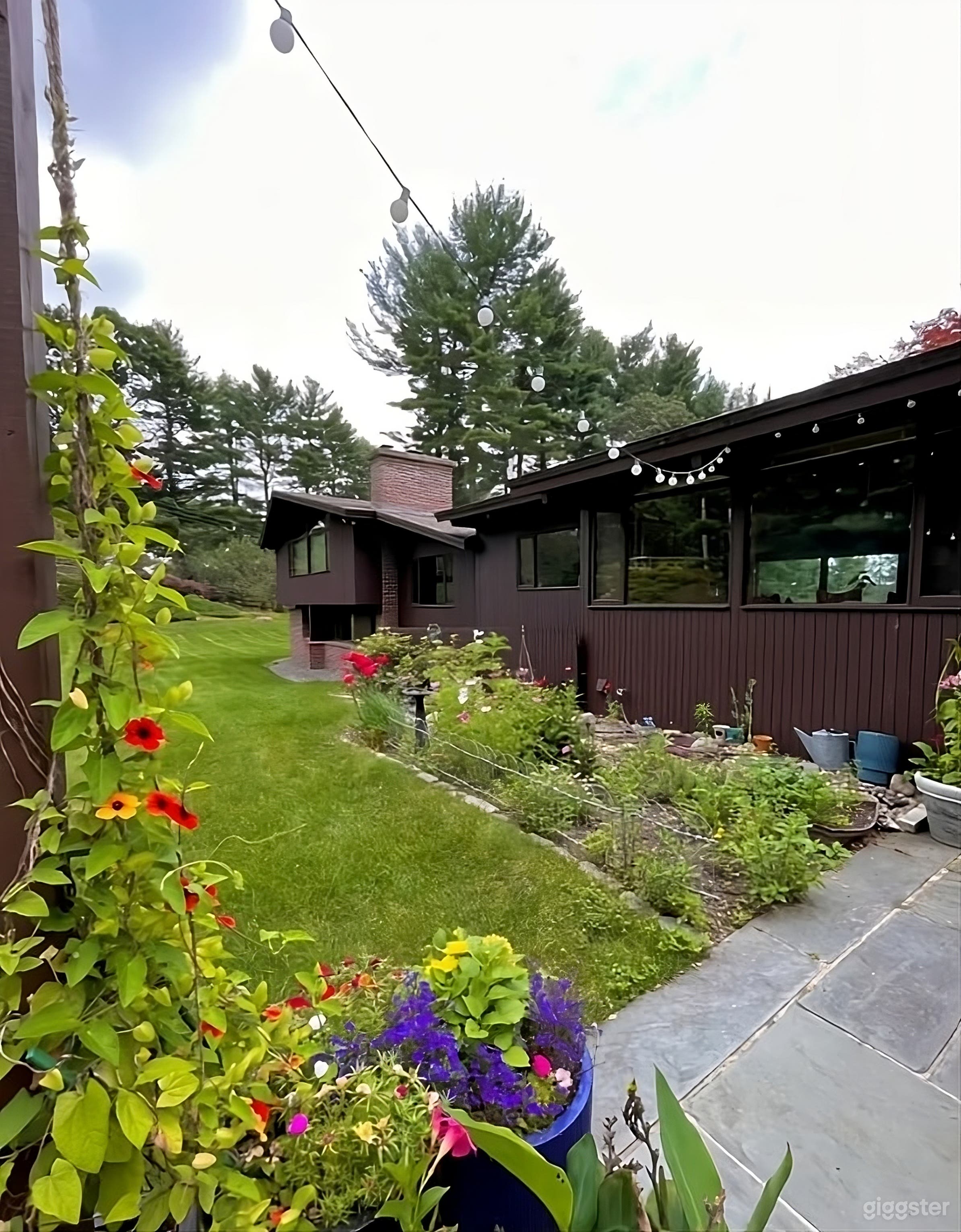 Spacious Lawn and Patio Backyard Retreat Photo 3