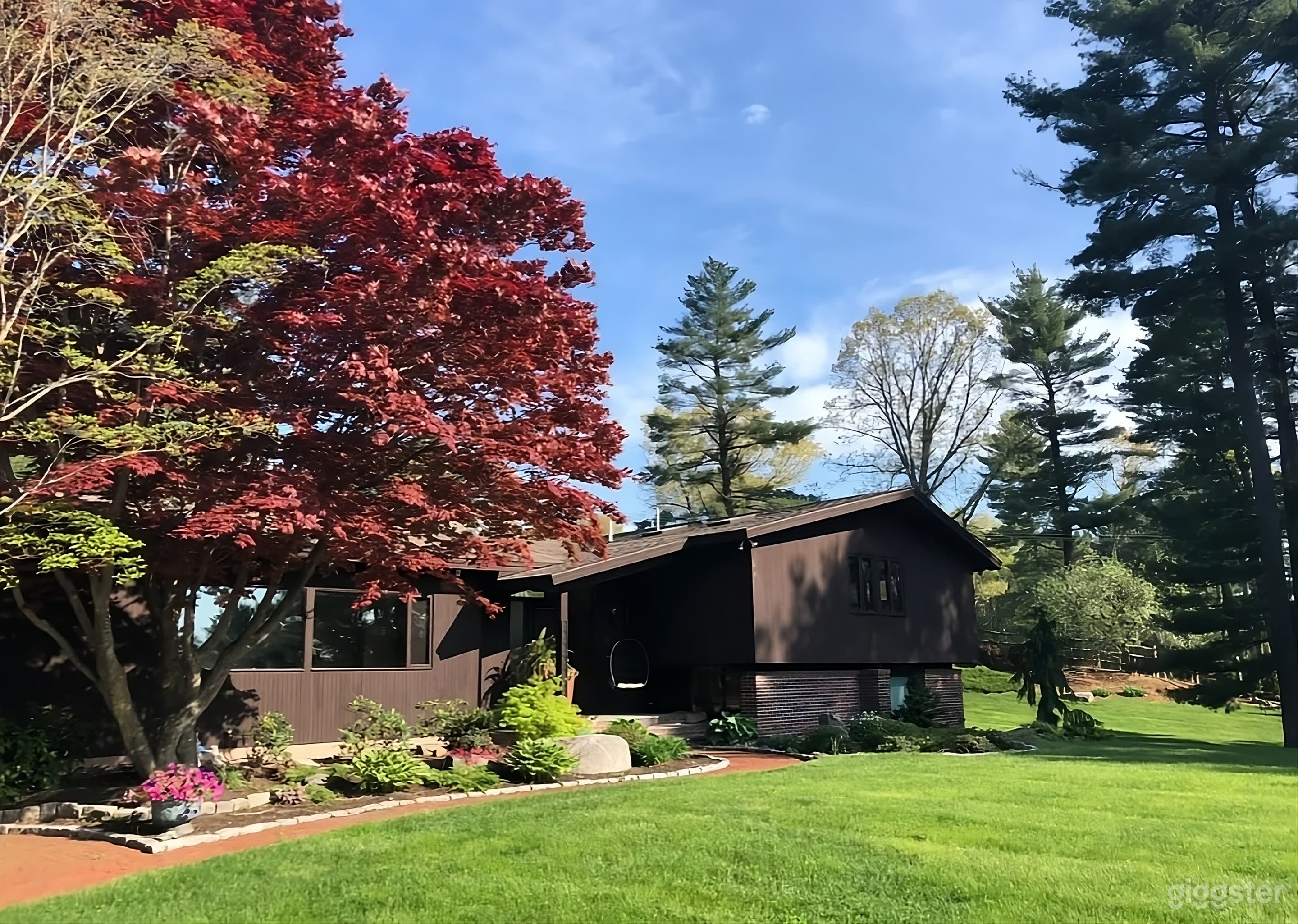 Spacious Lawn and Patio Backyard Retreat Photo 2