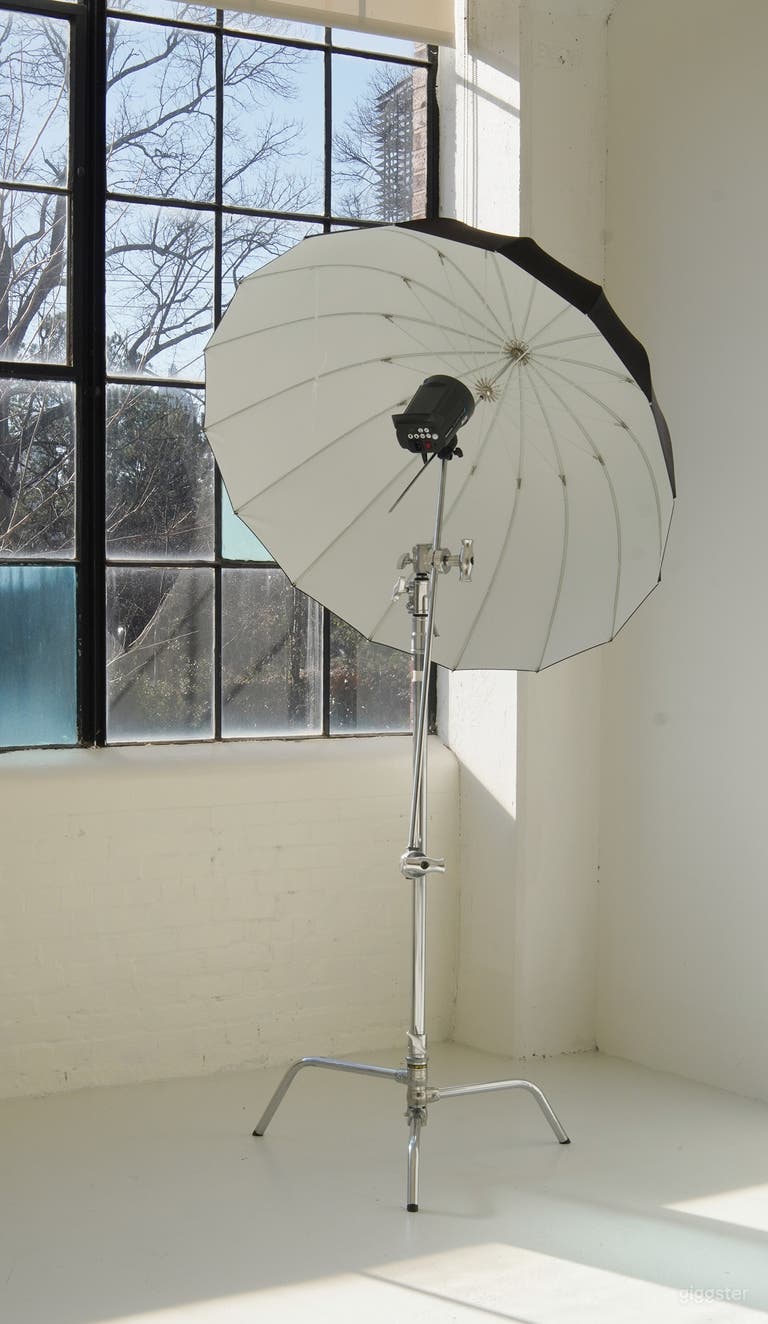  Beautiful Beltline Natural light Studio 