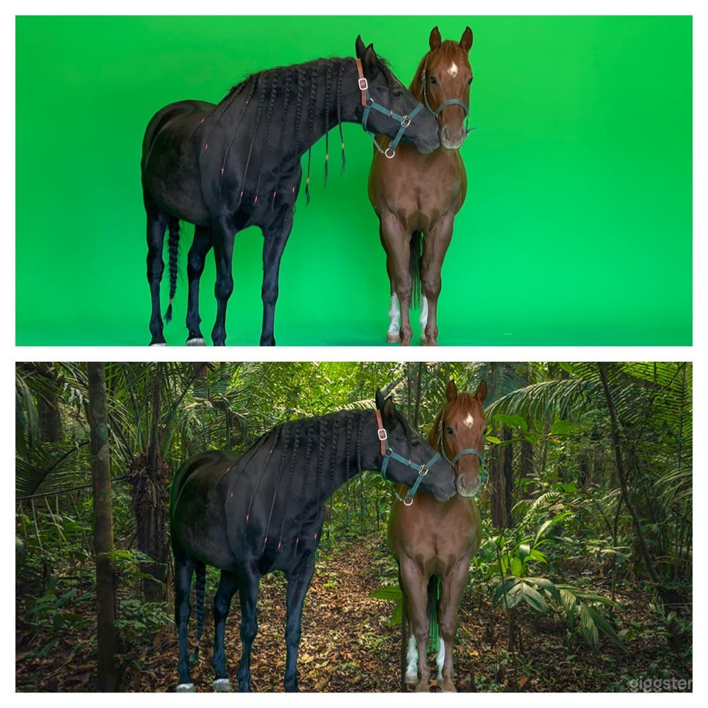 Cyclorama Green Screen & Photo Studio including Outdoor Sets Photo 2