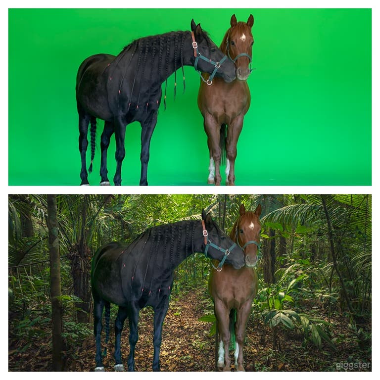  Cyclorama Green Screen & Studio Photo incluant décors extérieurs 