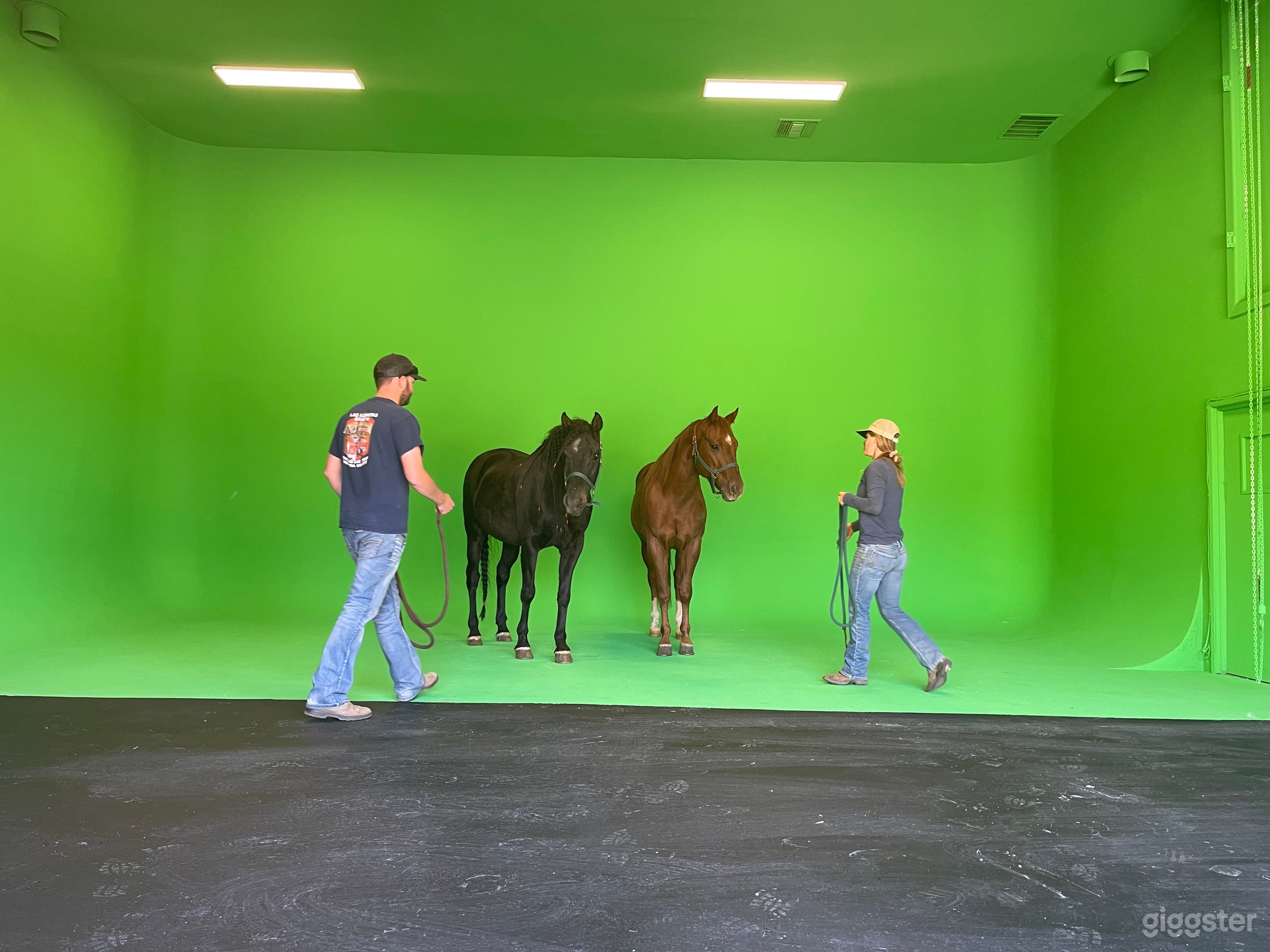 Large enough for animals and vehicles.