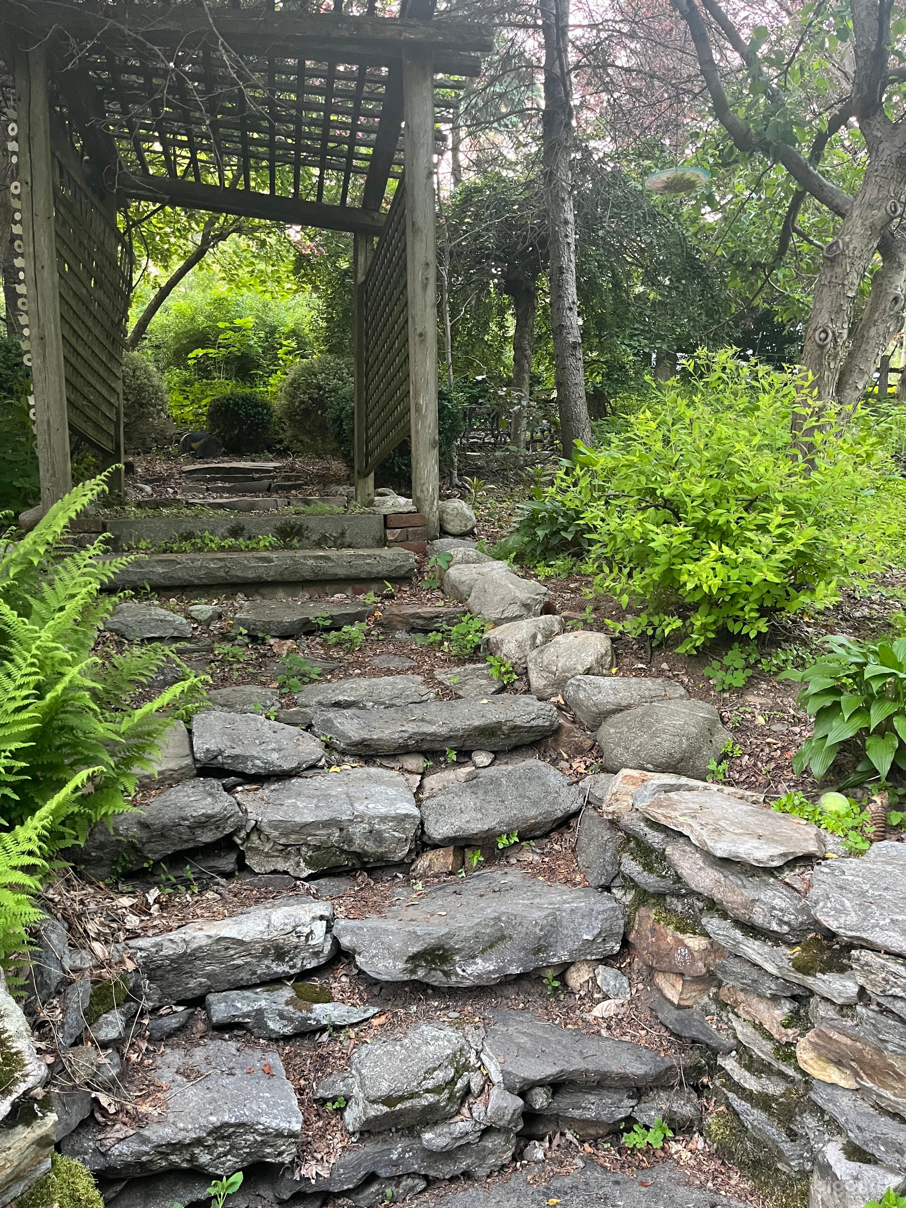 Trellised walkway in the back yard