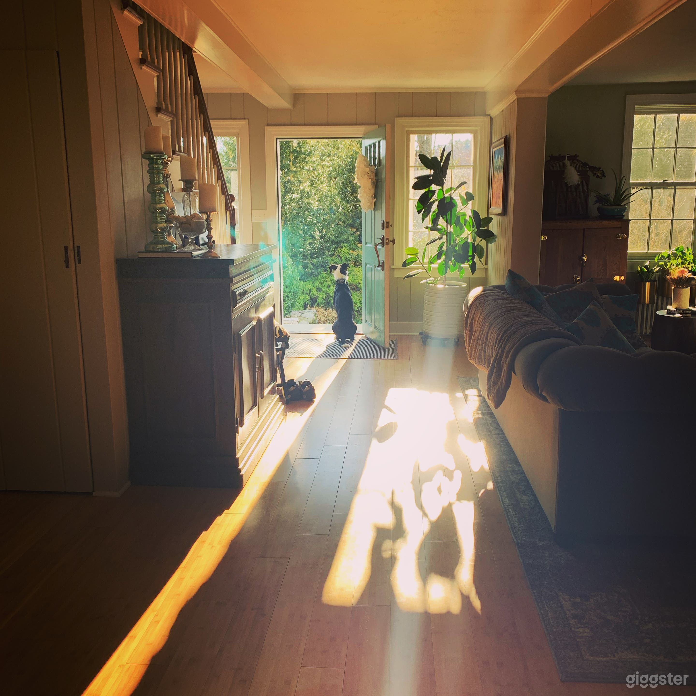 The light is amazing