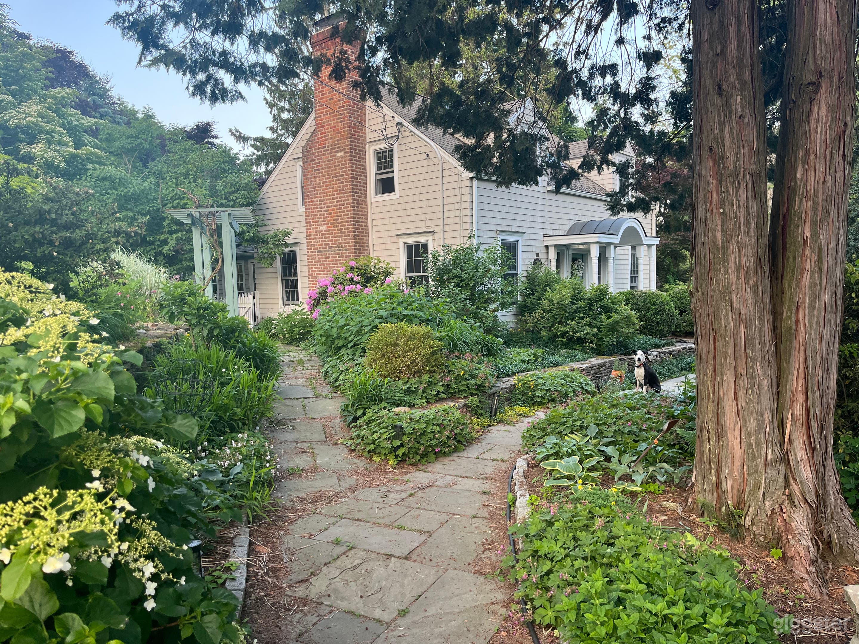 Beautiful Fairy tale cottage  Photo 2