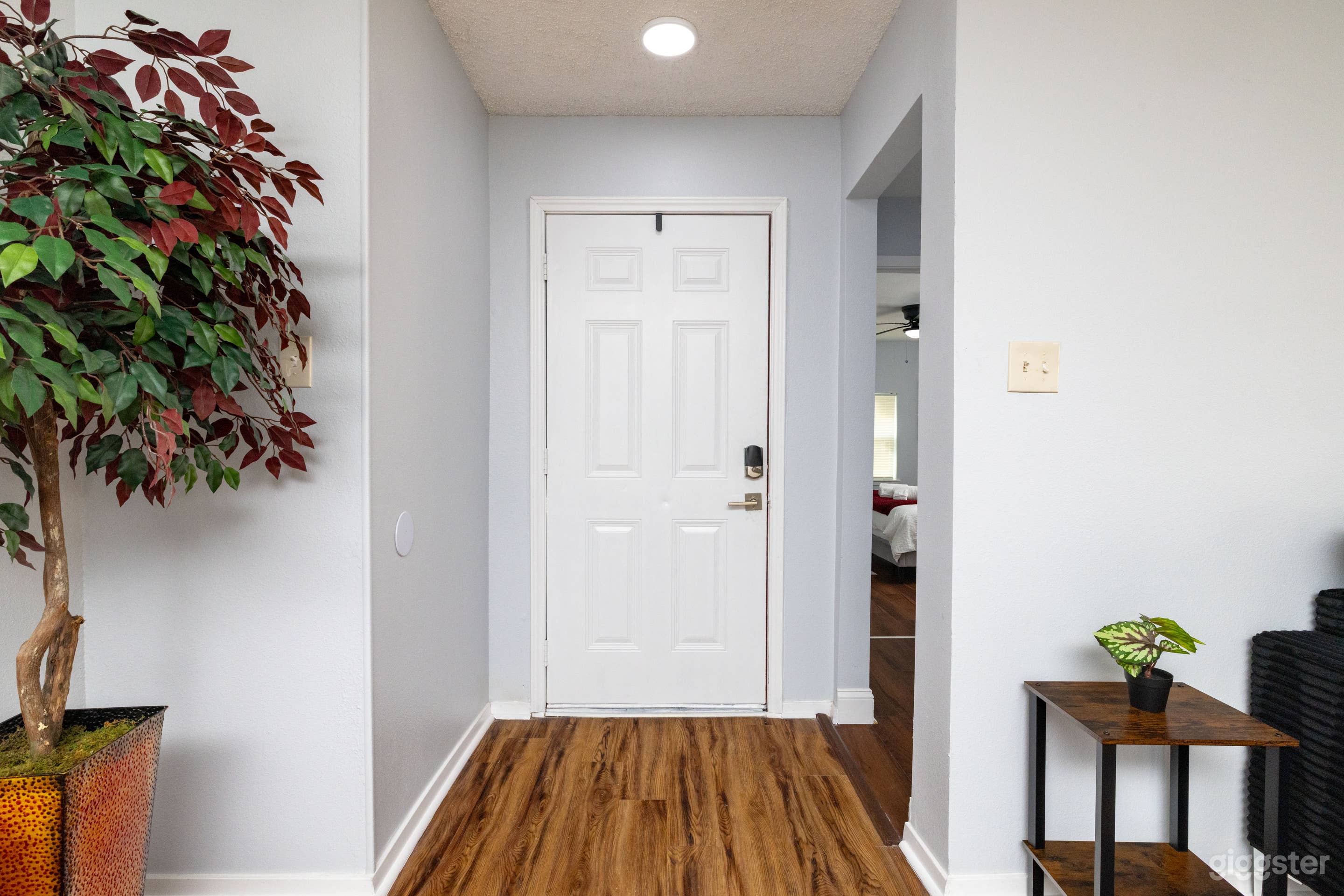 Film-Ready Fort Worth Home with Natural Light & Space Photo 3