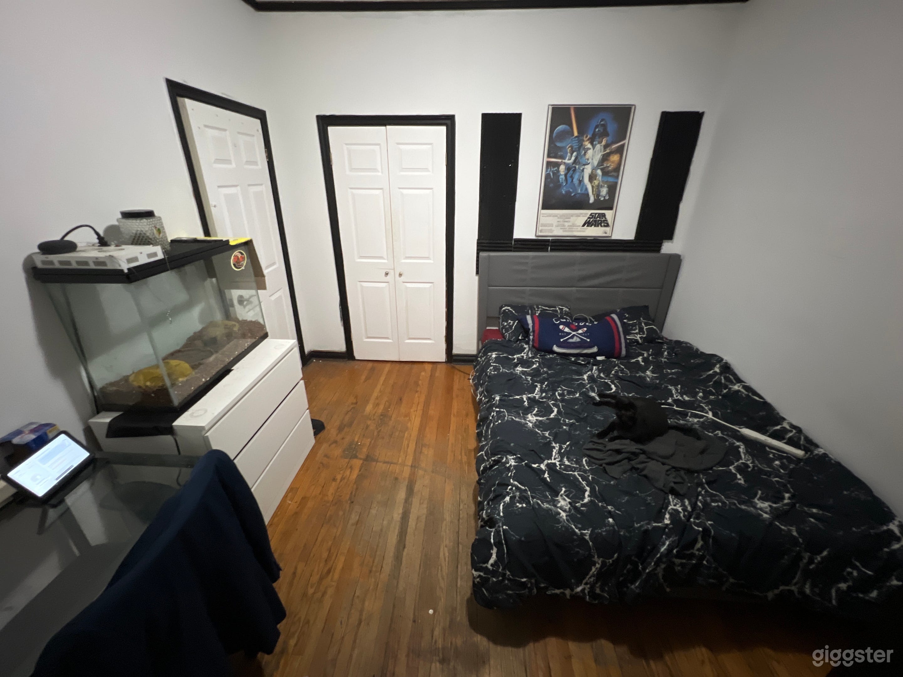 Main floor Apartment w Backyard Photo 3