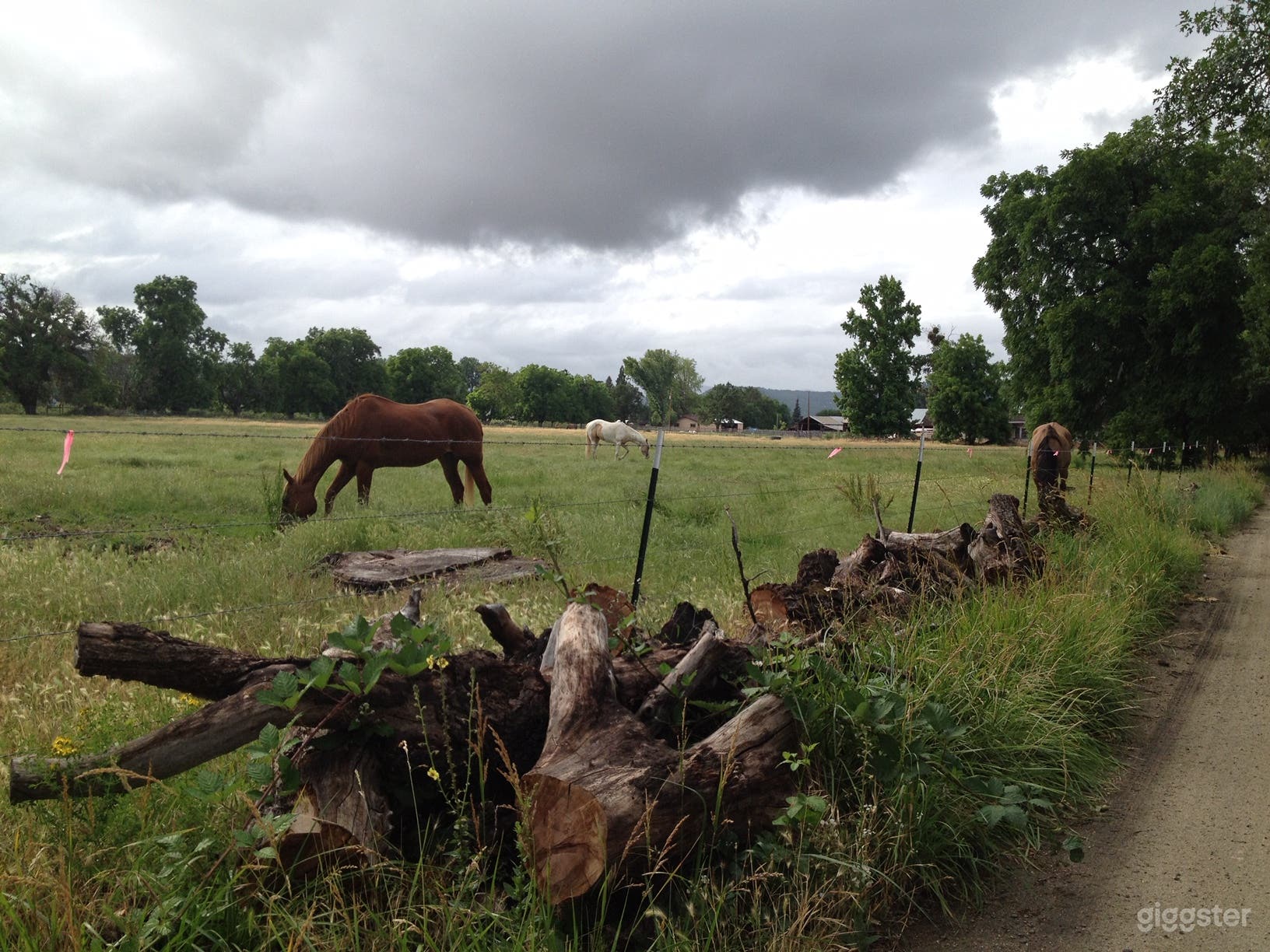 Oregon abandoned ranch house, stable and pasture Photo 1