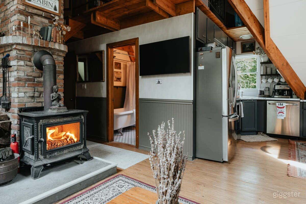 Riverside Cabin & A Frame on the Delaware River Photo 2