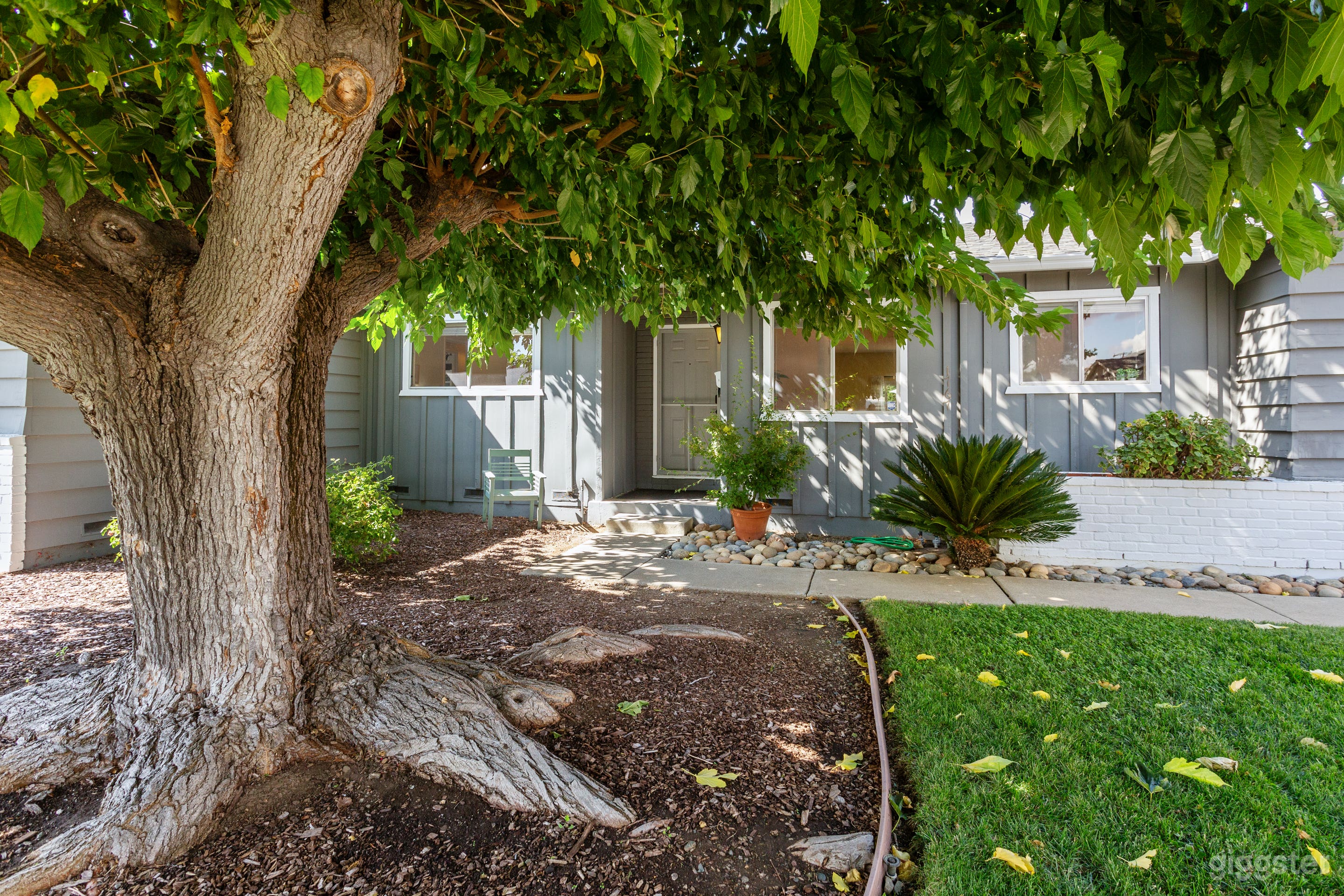 Galactic Oasis Photo 3