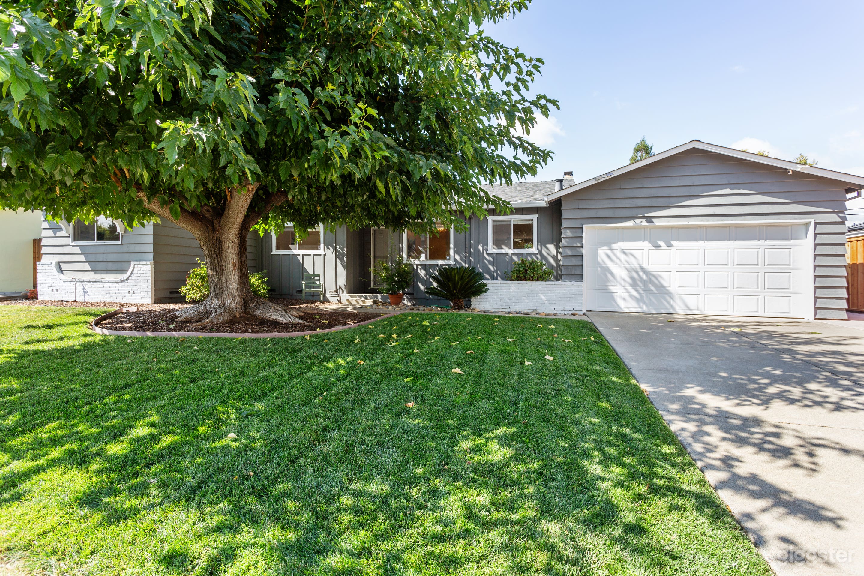 Galactic Oasis Photo 2