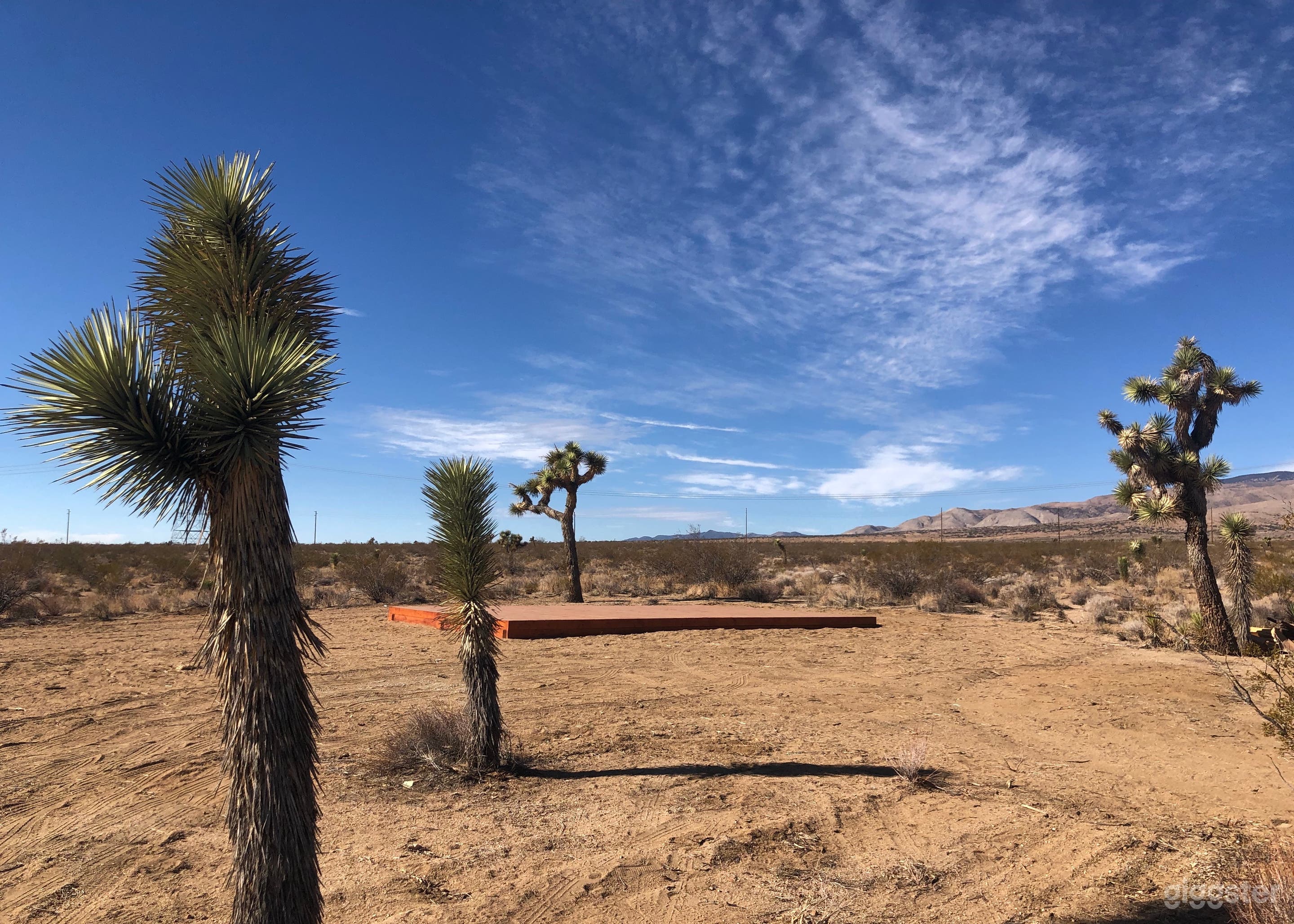 Epic High Desert Open Space with Joshua Trees Photo 4