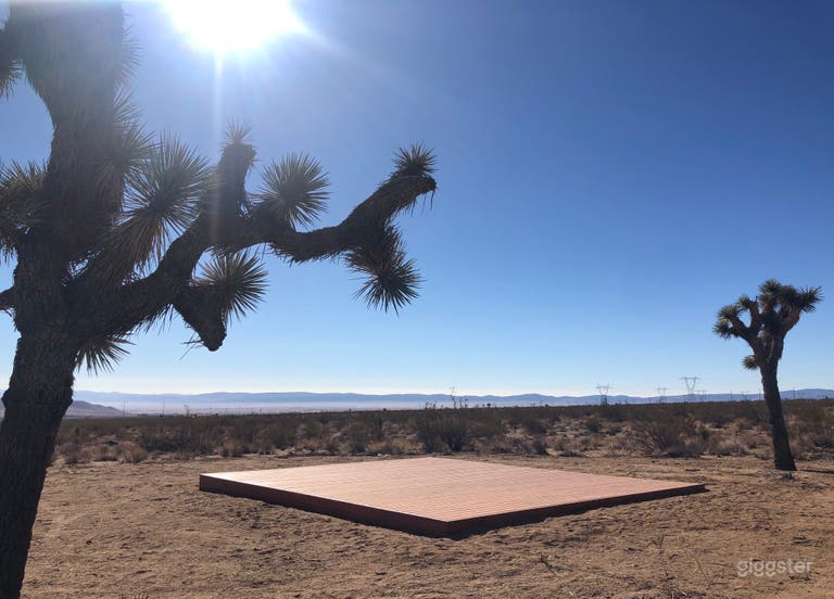  Espace ouvert épique du haut désert avec arbres de Joshua 