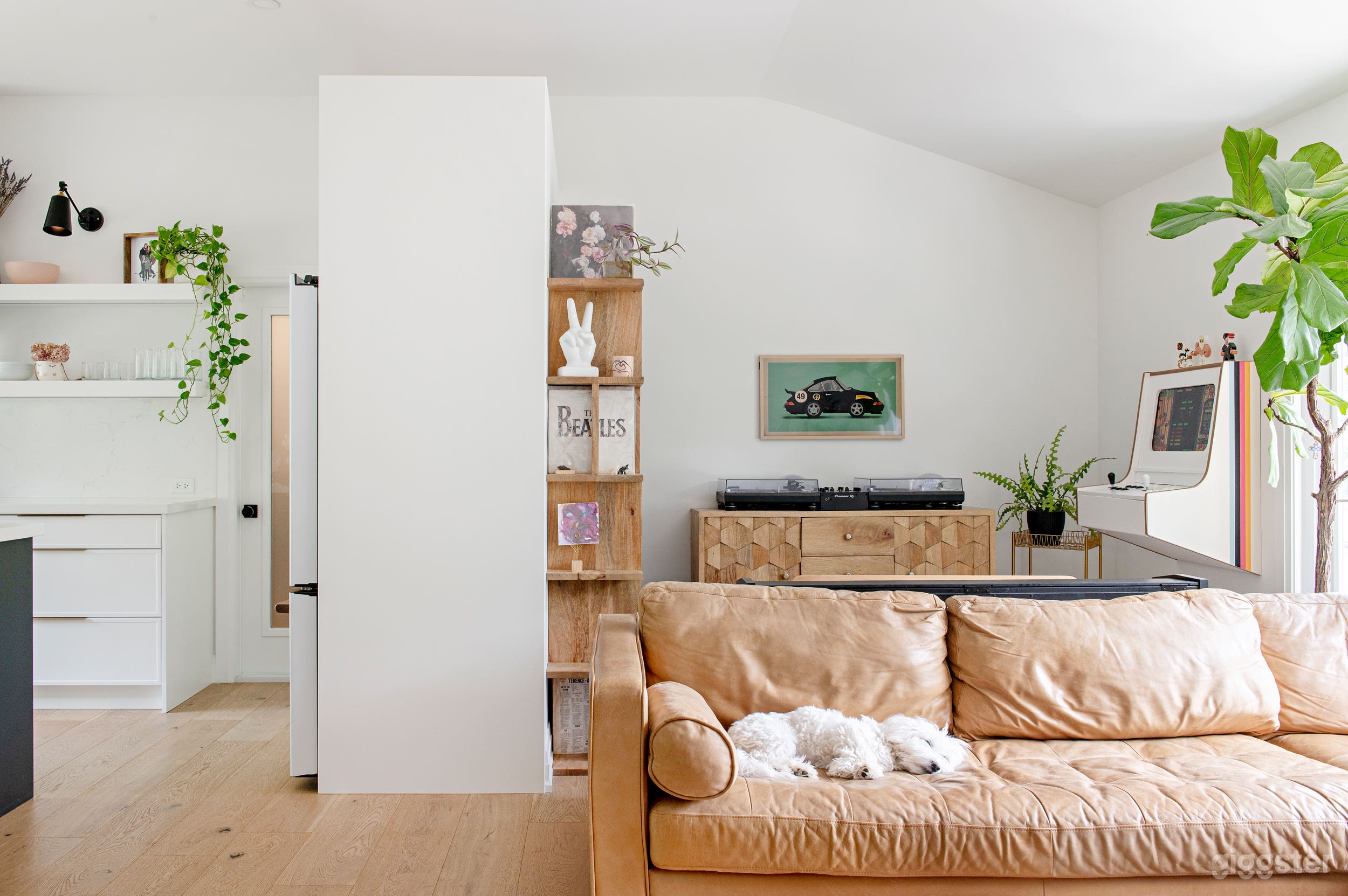 open space family room, lots of light, record/vinyl wall, dj setup, custom made arcade on wall. Lots of plants.