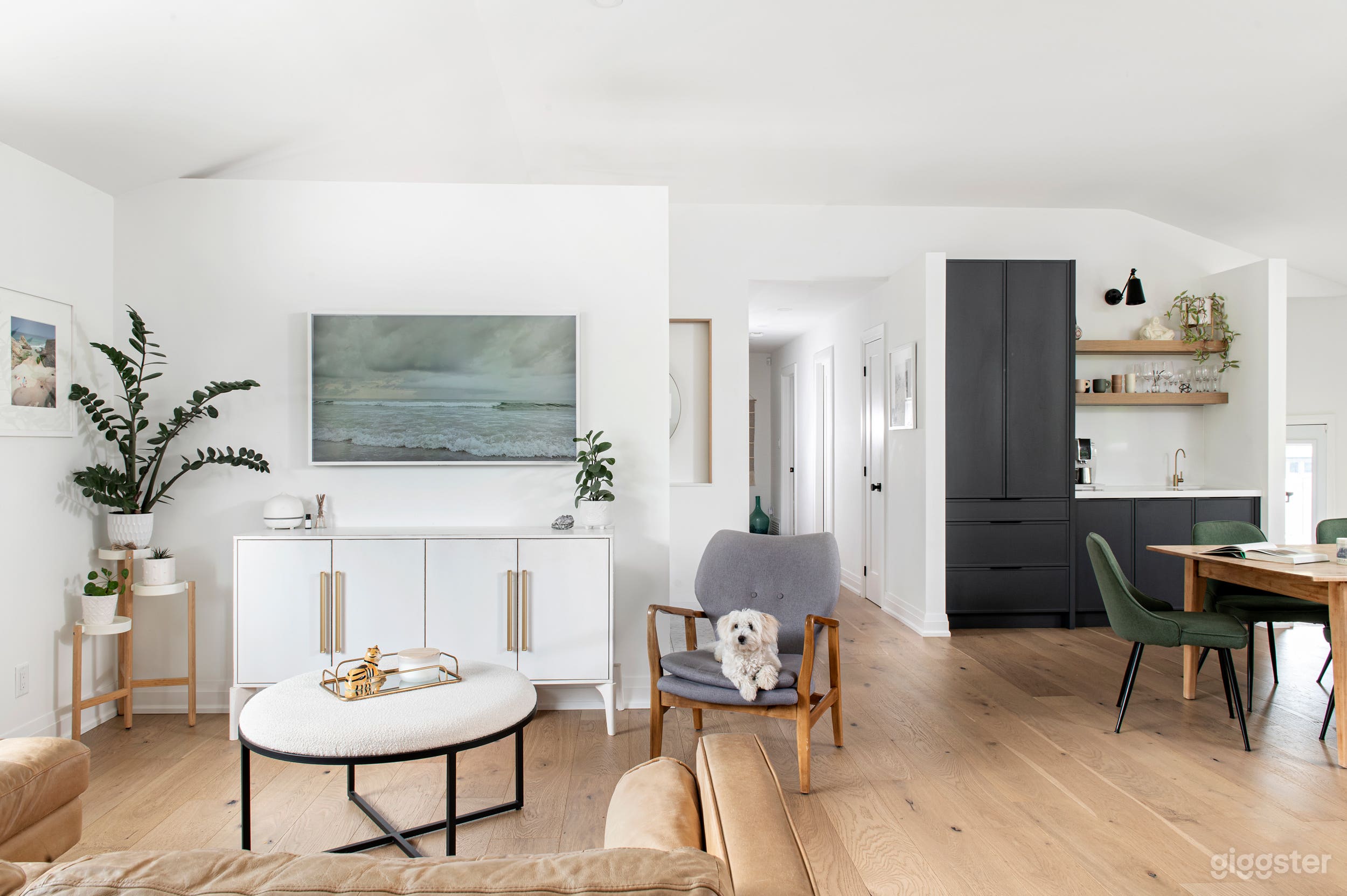 open space family room, lots of light, record/vinyl wall, dj setup, custom made arcade on wall. Lots of plants. Samsung frame tv 