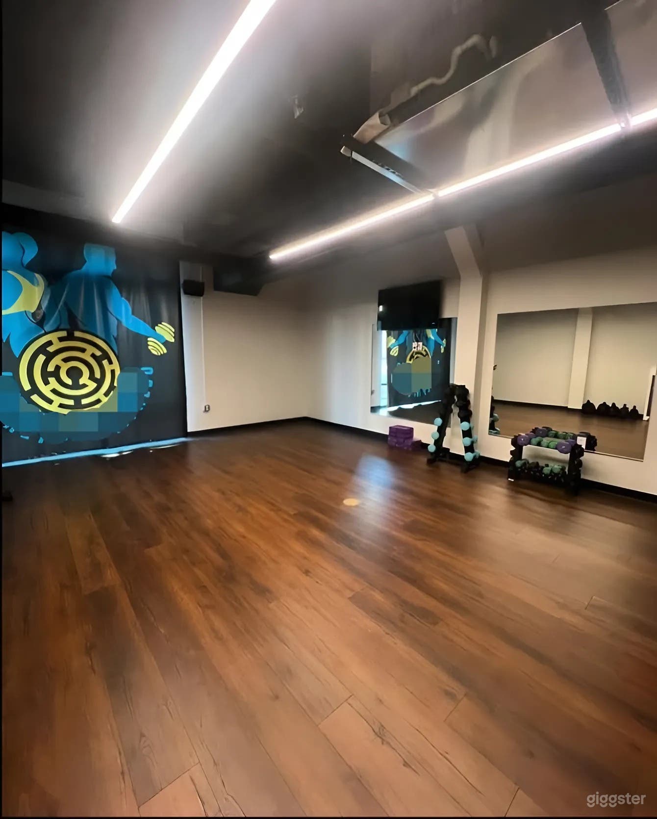 Serene Yoga Studio with Gym &amp; Outdoor Space in St. Petersburg Photo 4