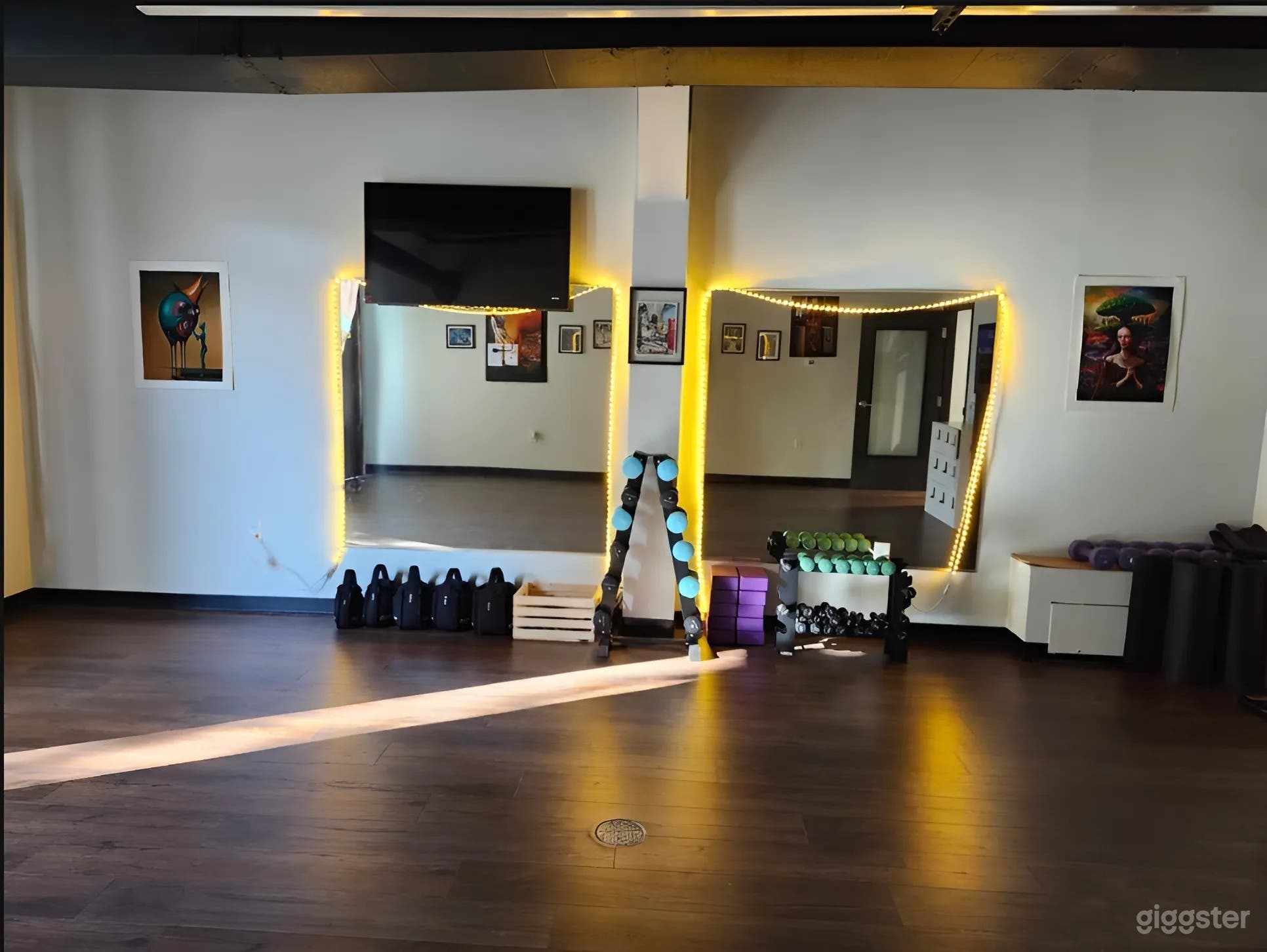 Serene Yoga Studio with Gym &amp; Outdoor Space in St. Petersburg Photo 2