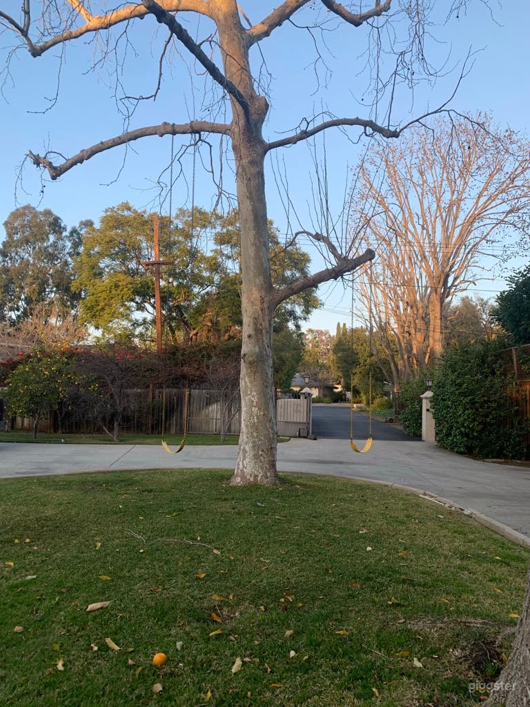  Circular Driveway and tree with swings
 