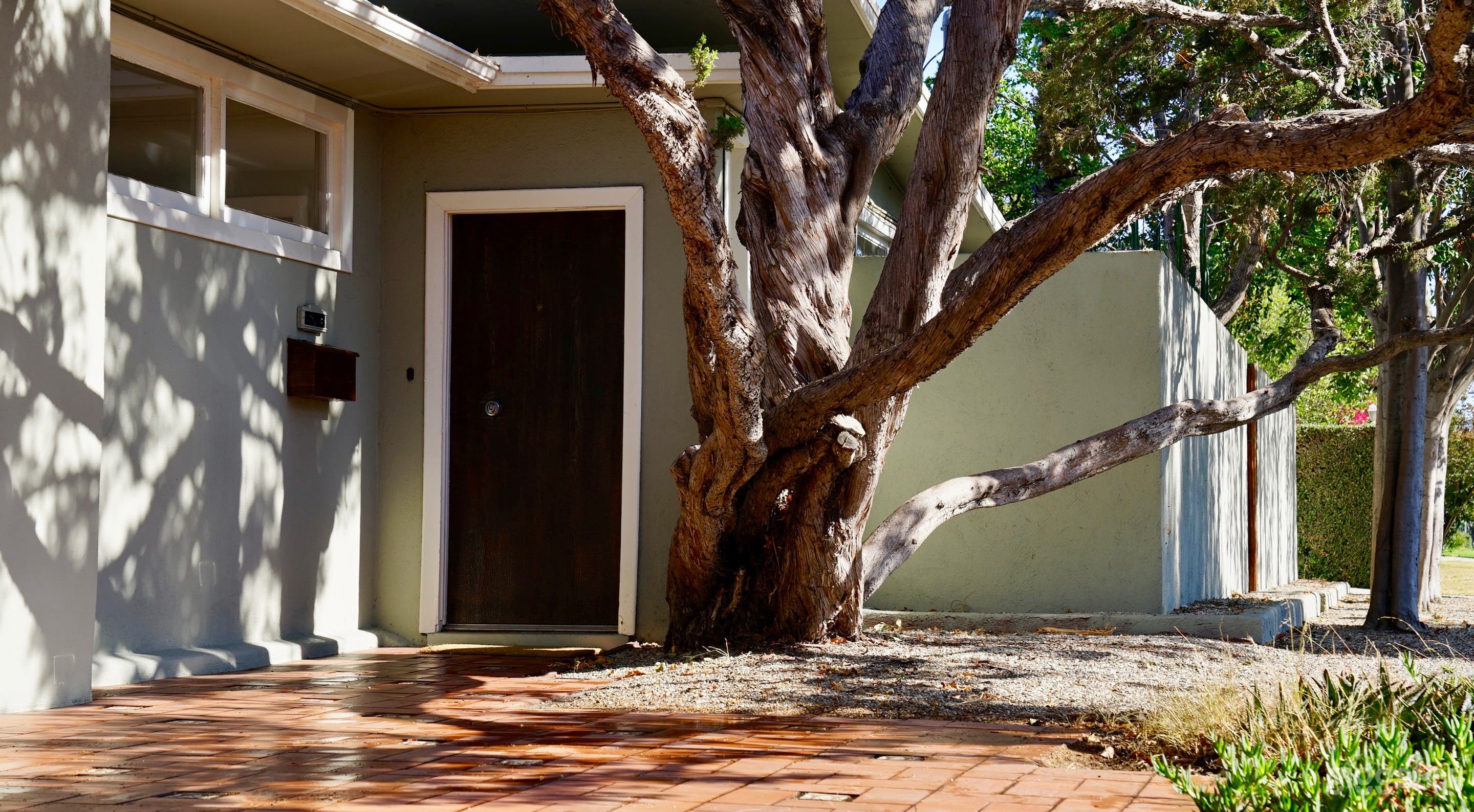 Private Mid Century Modern Oasis Photo 3