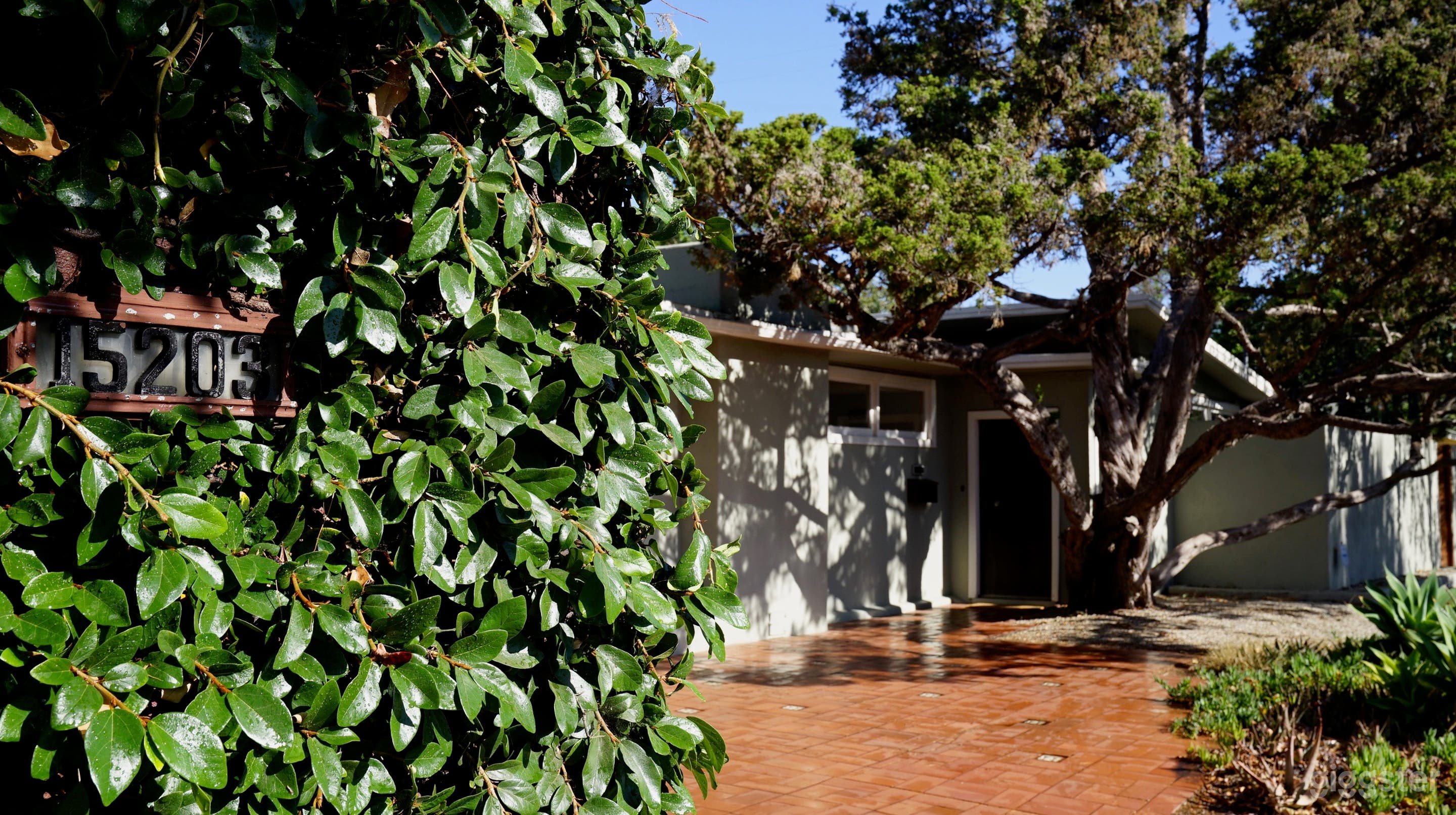 Private Mid Century Modern Oasis Photo 2