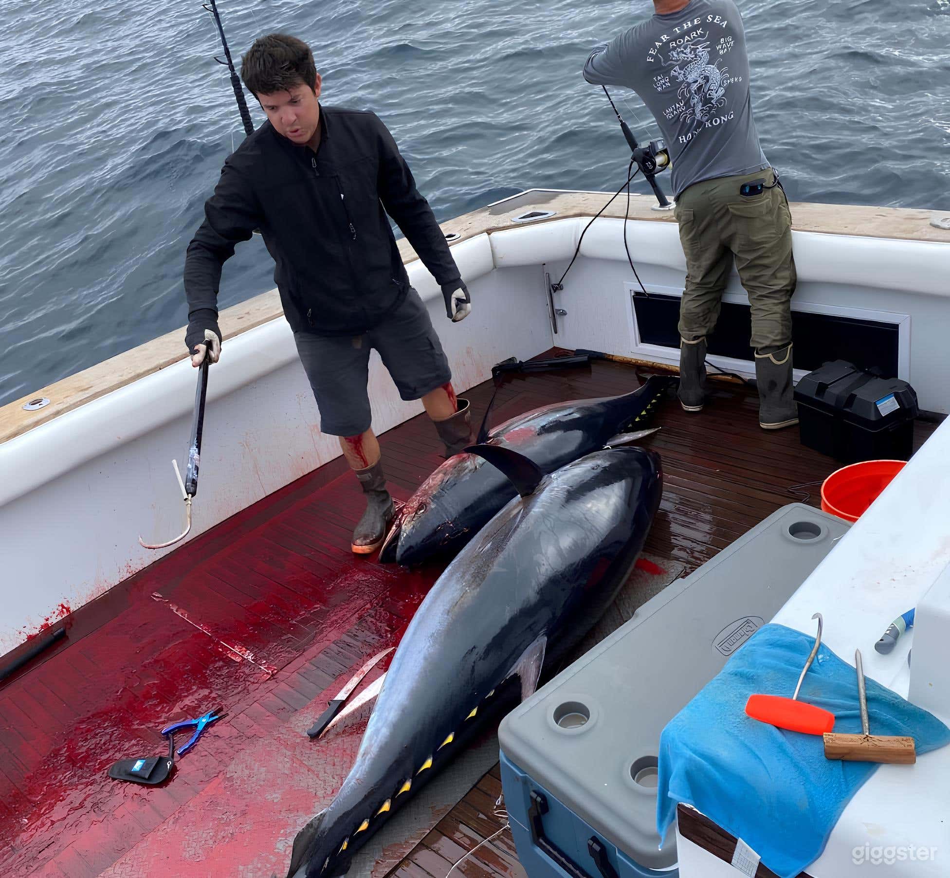 Knot Exactly 60' Bertram FISHING CHARTER Photo 4