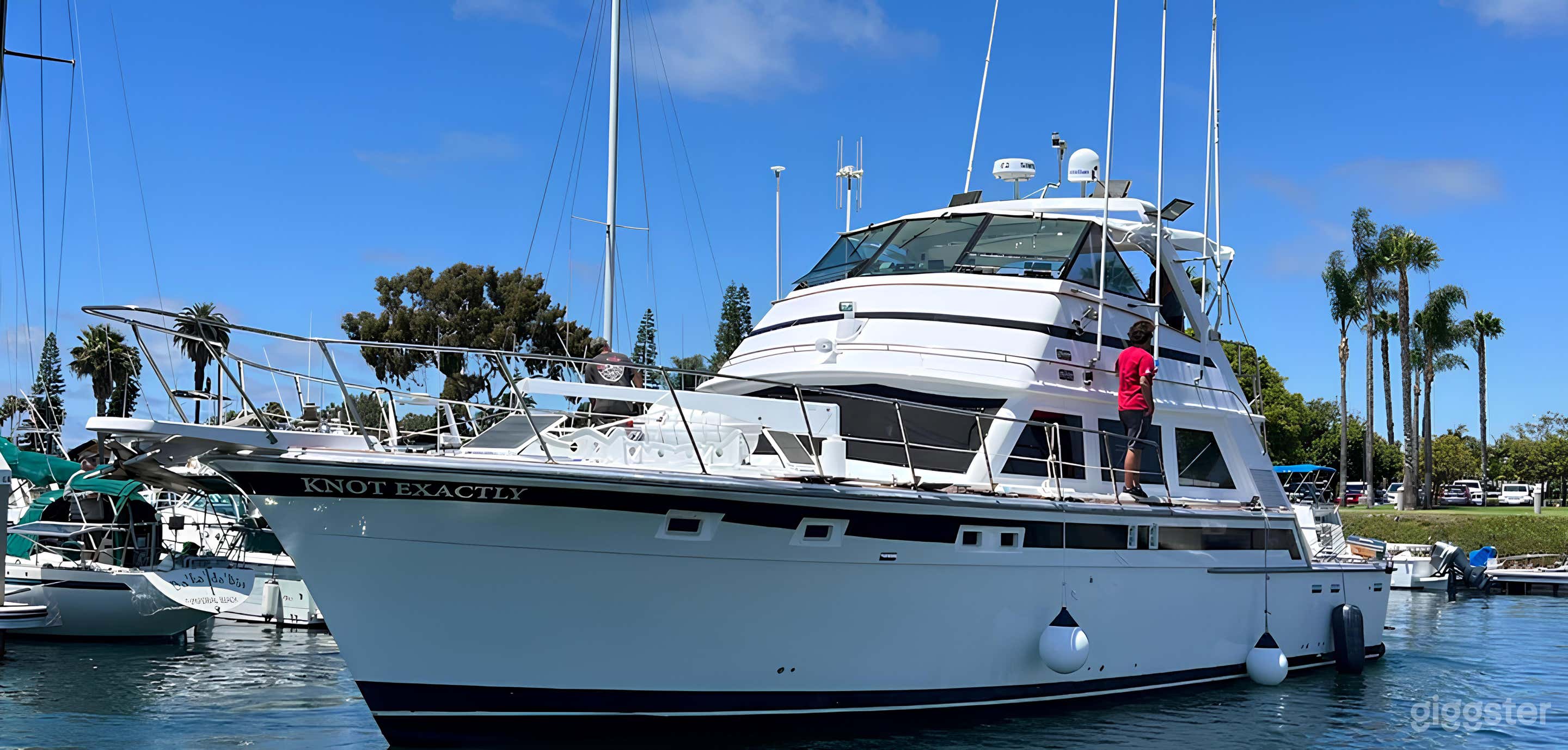 Knot Exactly 60' Bertram FISHING CHARTER Photo 2