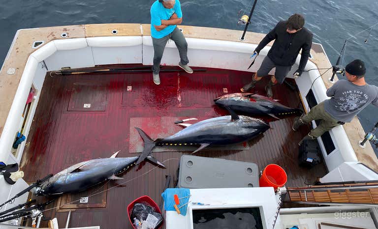  Knot Exactly 60' Bertram FISHING CHARTER 