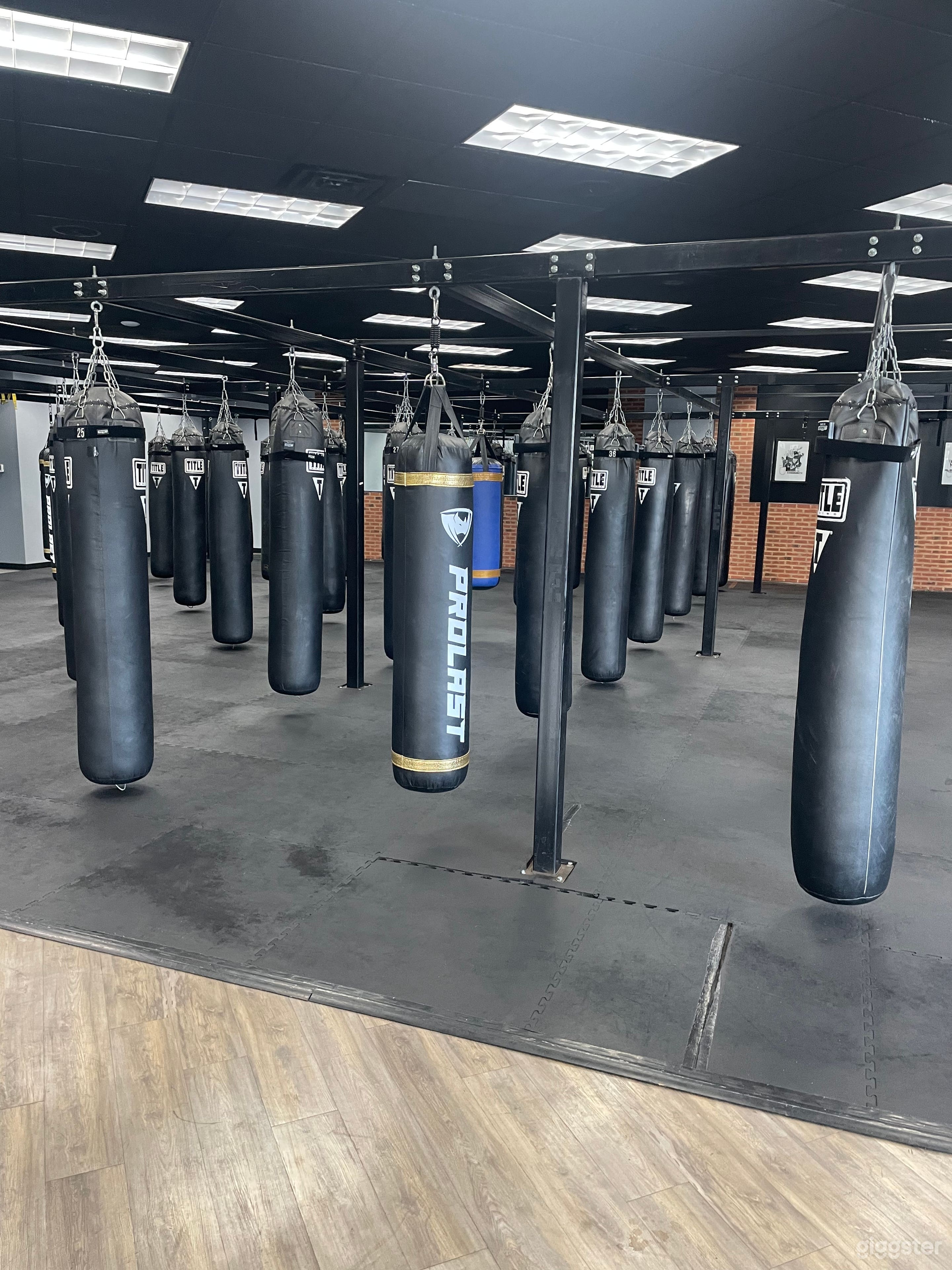 Spacious Boxing Gym w Studio Photo 2