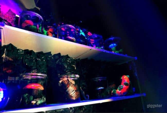  The Overgrown Escape Room 